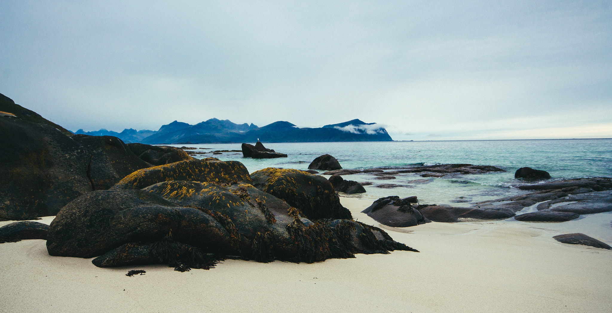 Canon EOS 450D (EOS Rebel XSi / EOS Kiss X2) + Sigma 10-20mm F4-5.6 EX DC HSM sample photo. Lofoten's beach photography