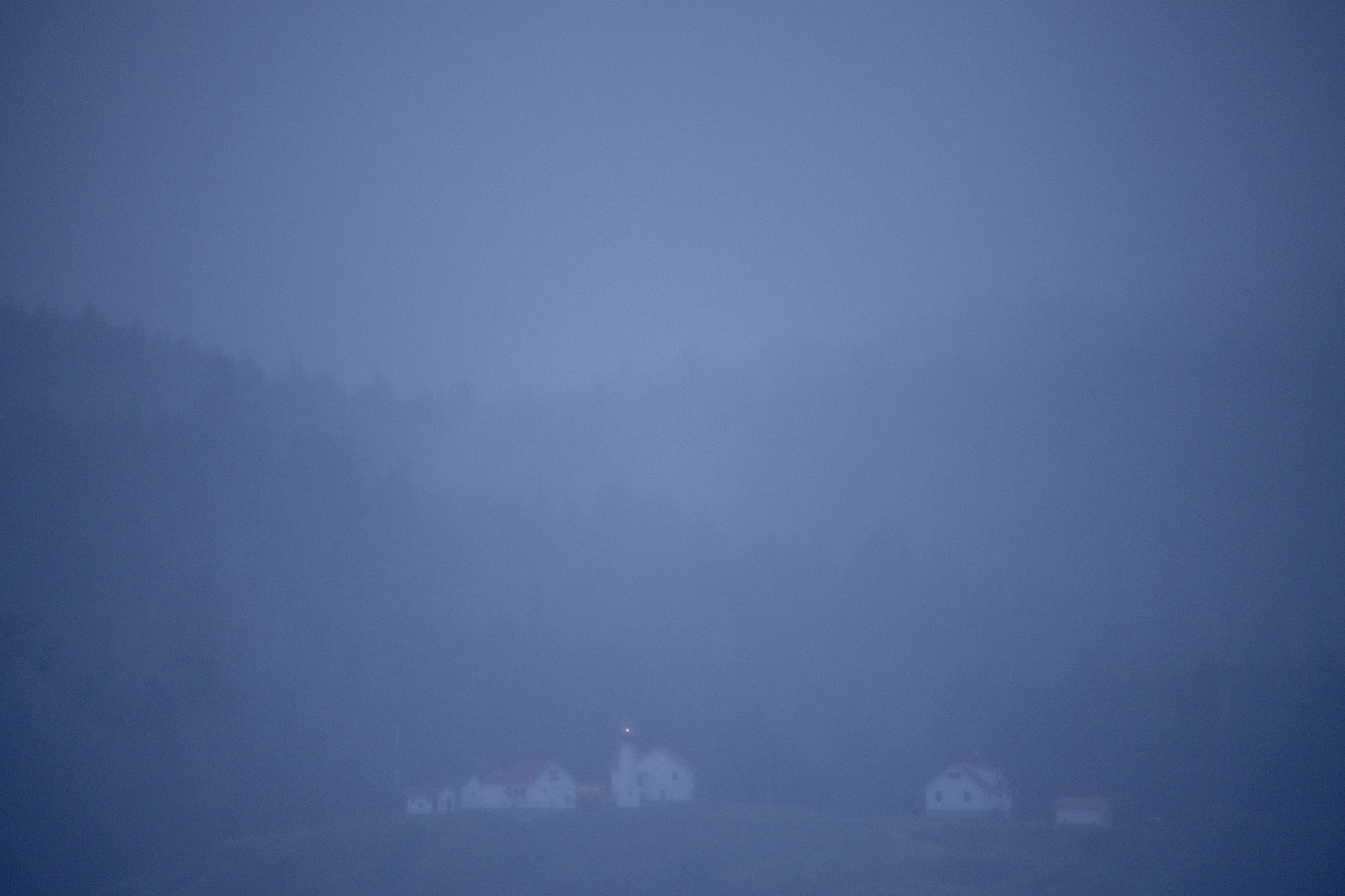 150-600mm F5-6.3 DG OS HSM | Sports 014 sample photo. A moment in the fog photography