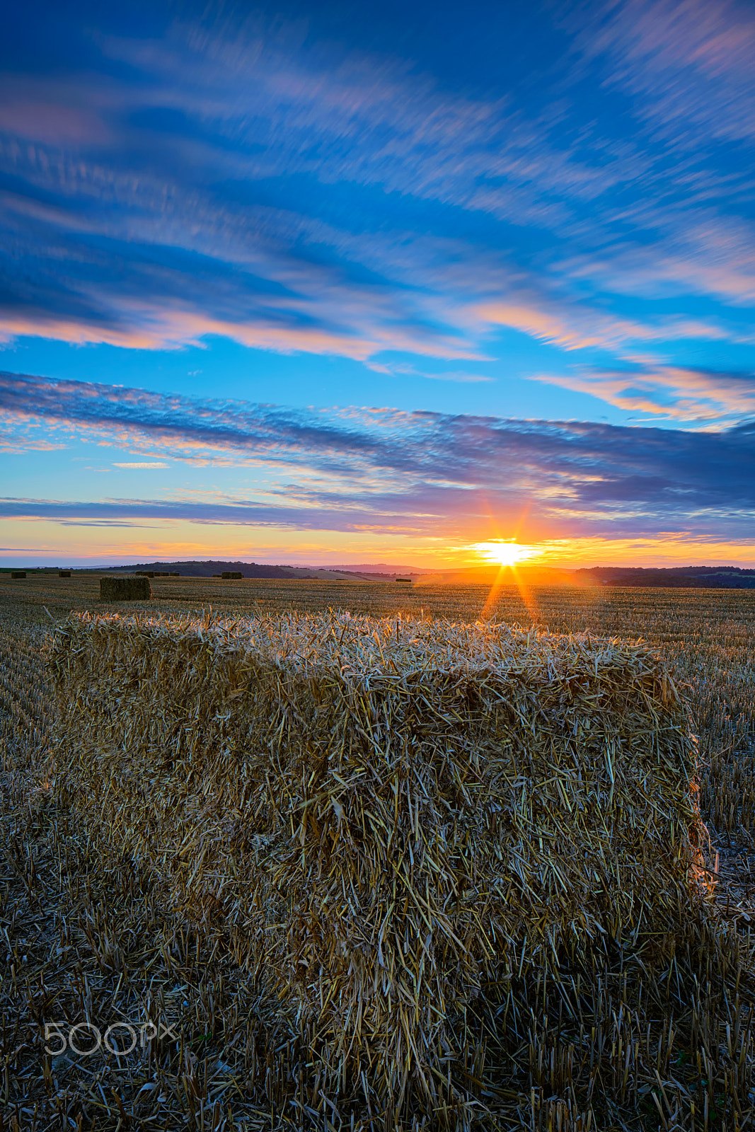 Canon TS-E 24.0mm f/3.5 L II sample photo. The hunt photography