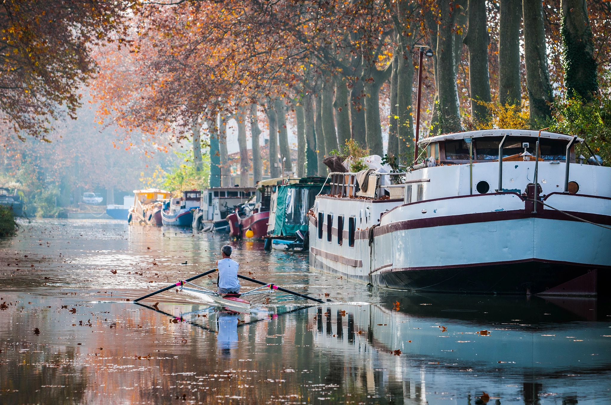AF-S Zoom-Nikkor 80-200mm f/2.8D IF-ED sample photo. Canal du midi photography