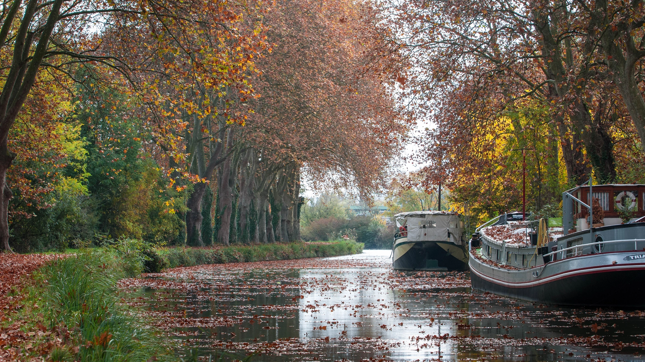 AF-S Zoom-Nikkor 80-200mm f/2.8D IF-ED sample photo. Canal du midi photography