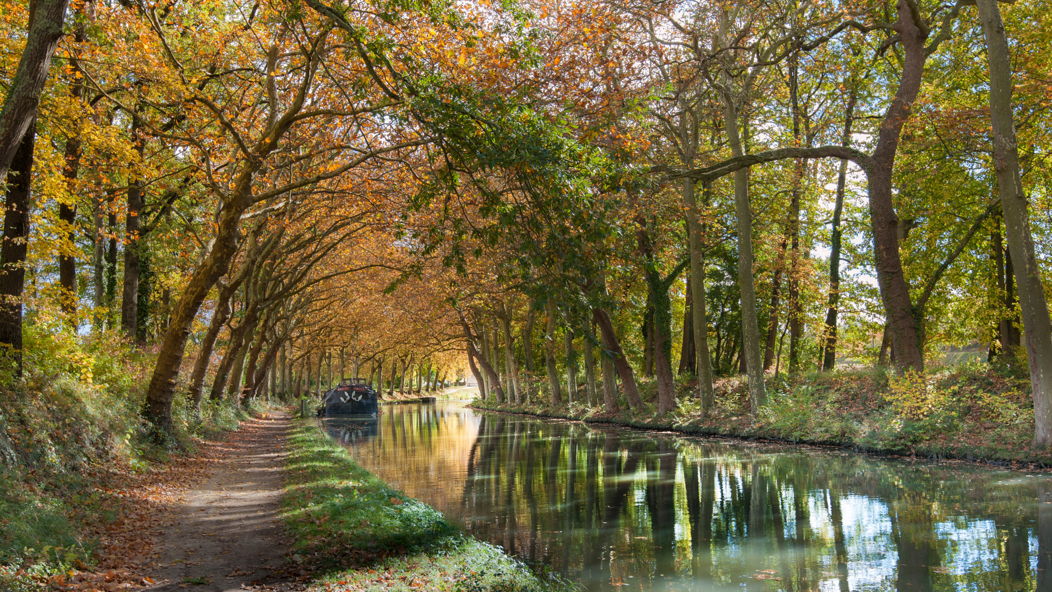 Nikon D3X sample photo. Canal du midi photography
