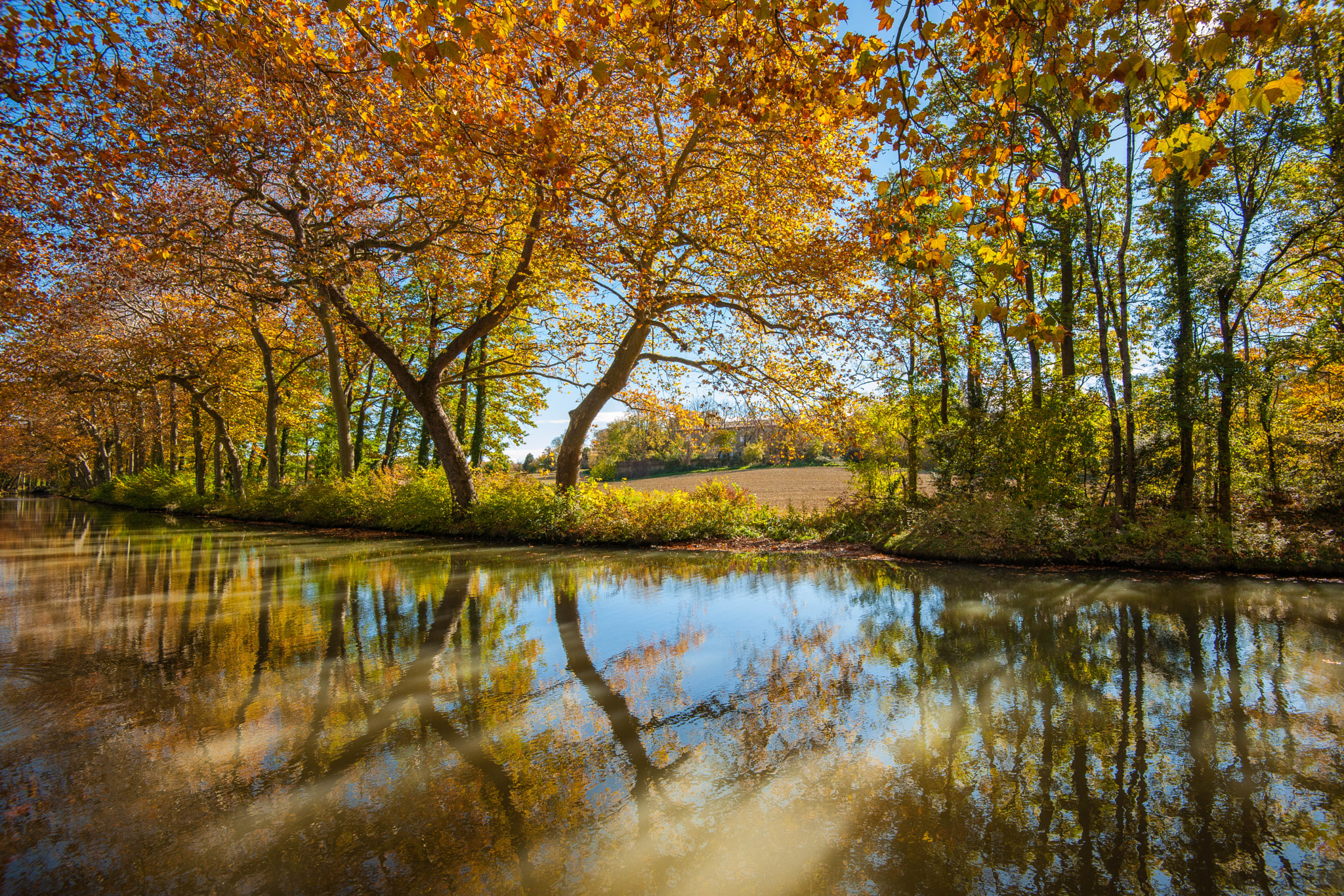 Nikon D3X sample photo. Canal du midi photography
