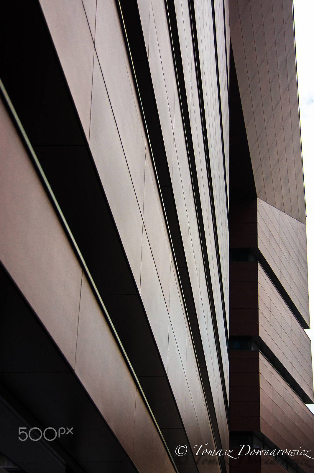 Sony Alpha DSLR-A550 sample photo. Lines photography