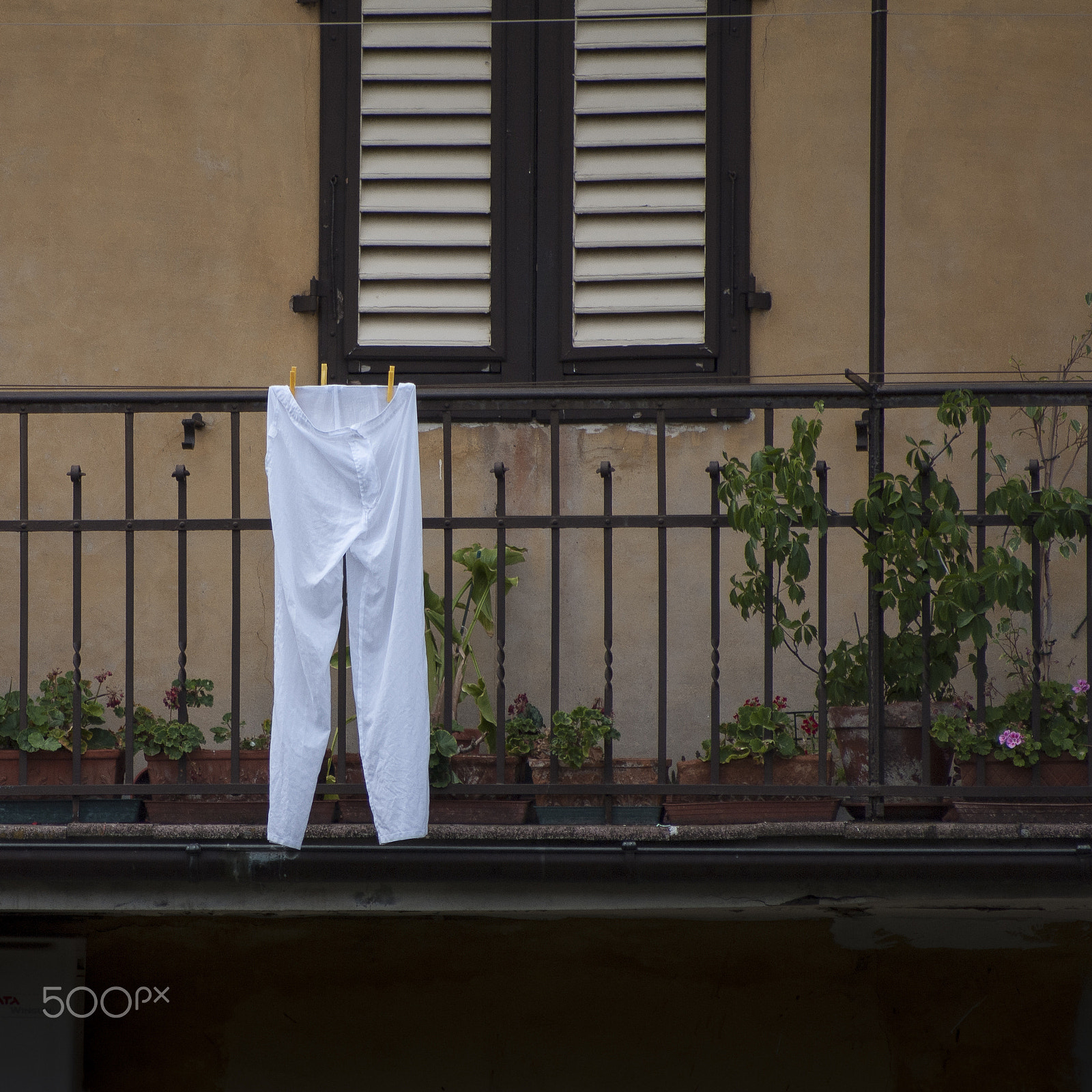 Pentax K-7 + Sigma sample photo. "oh my trousers seemed so far away" photography