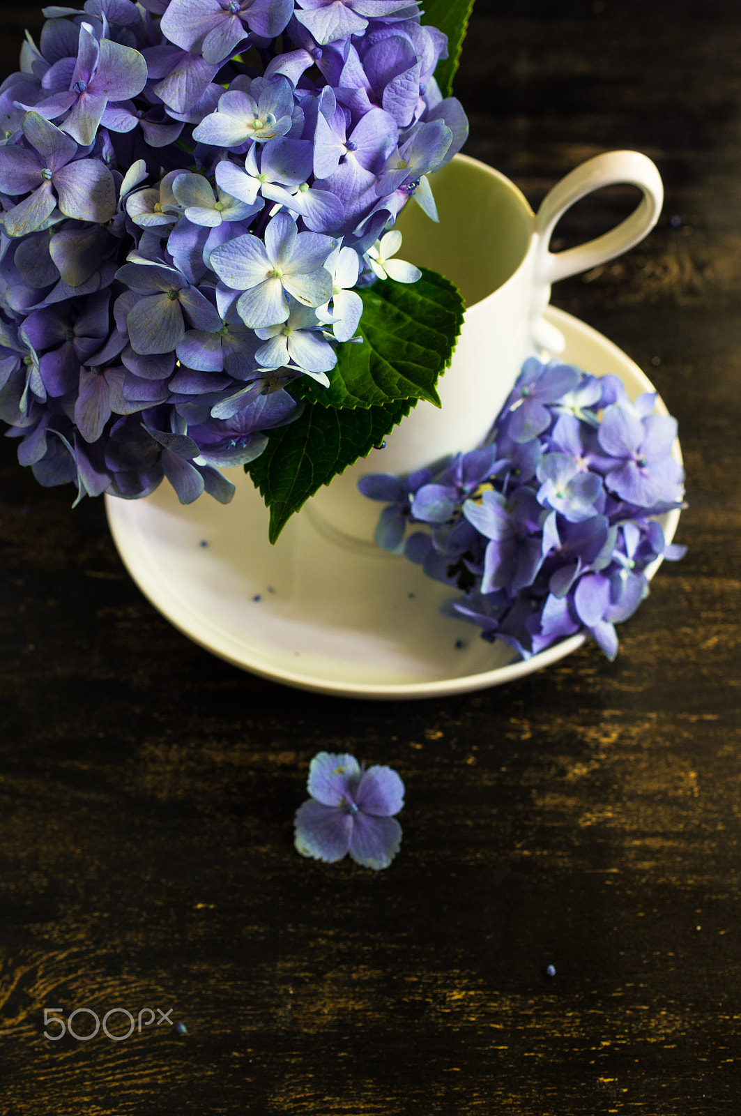 Sony SLT-A55 (SLT-A55V) sample photo. Hydrangea flowers and table setting photography