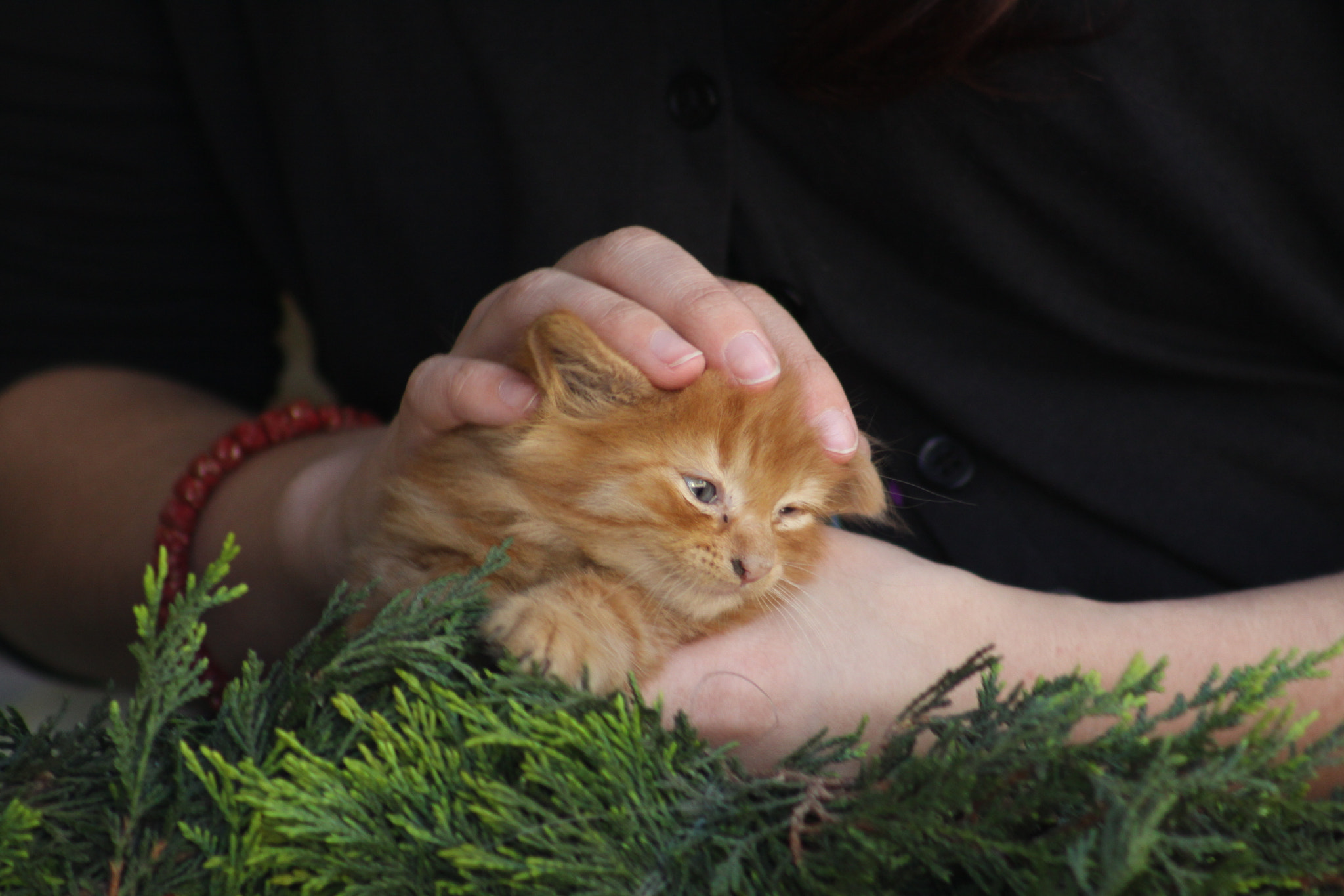 Canon EOS 50D + EF75-300mm f/4-5.6 sample photo. Cuddling photography