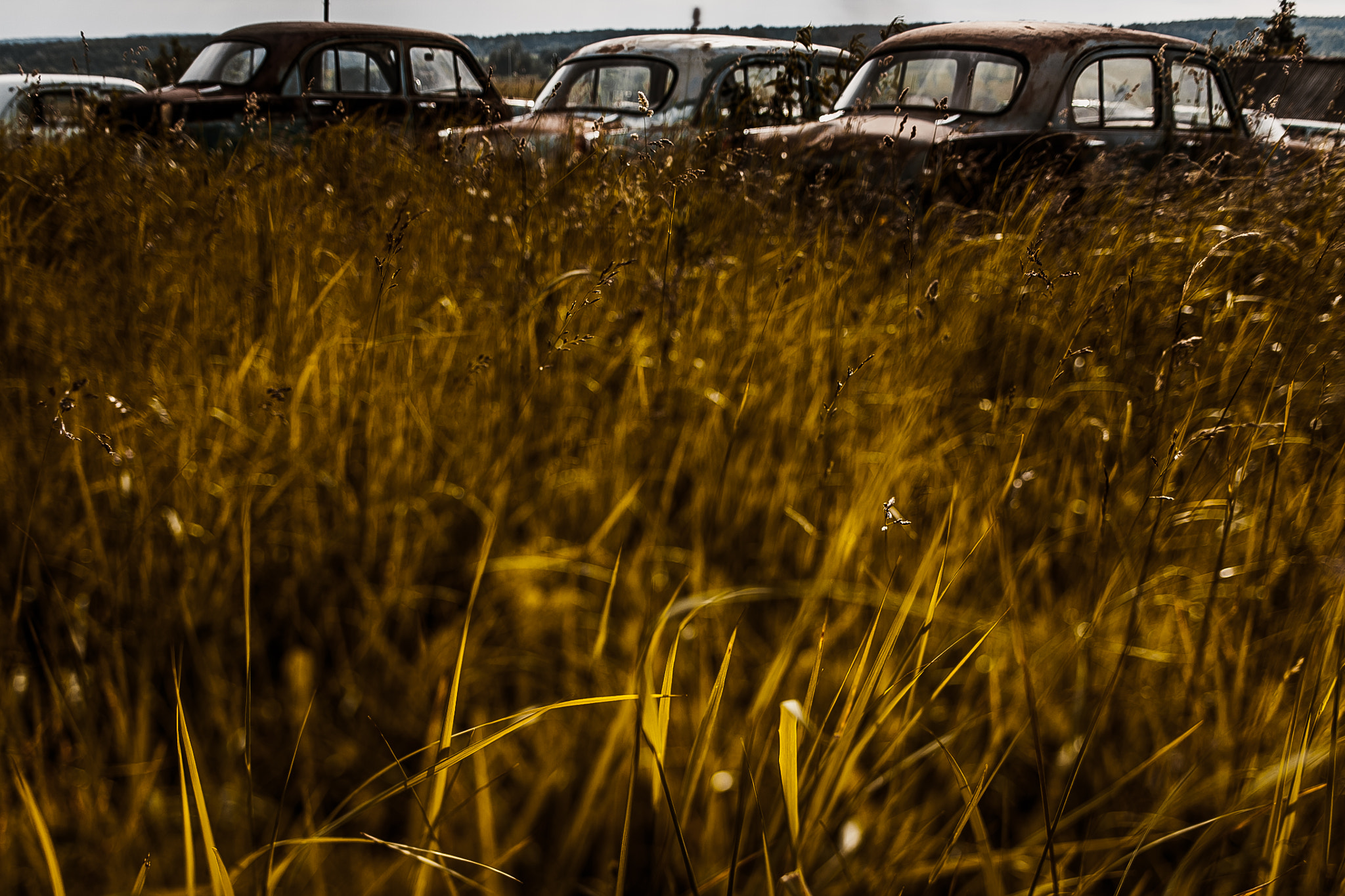 Canon TS-E 45mm F2.8 Tilt-Shift sample photo. Old russian car photography