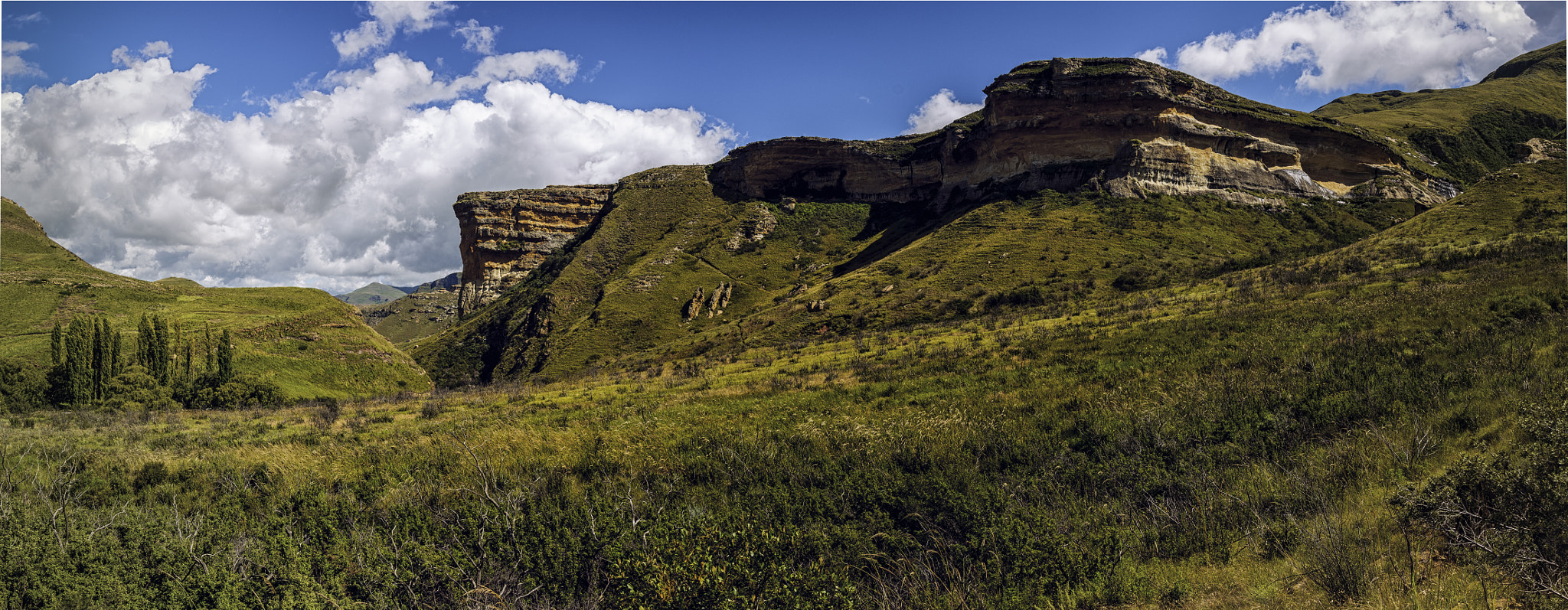 Nikon D300S sample photo. Taken in the golden gate national park photography