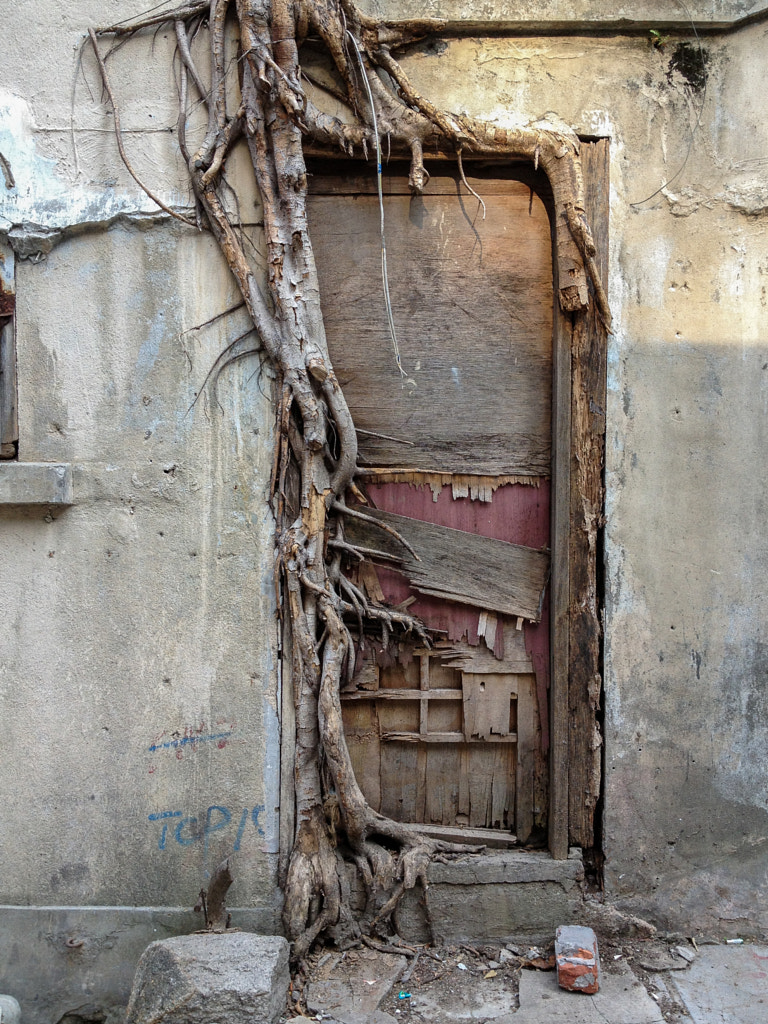 Wooden Door by Calvin Lee on 500px.com