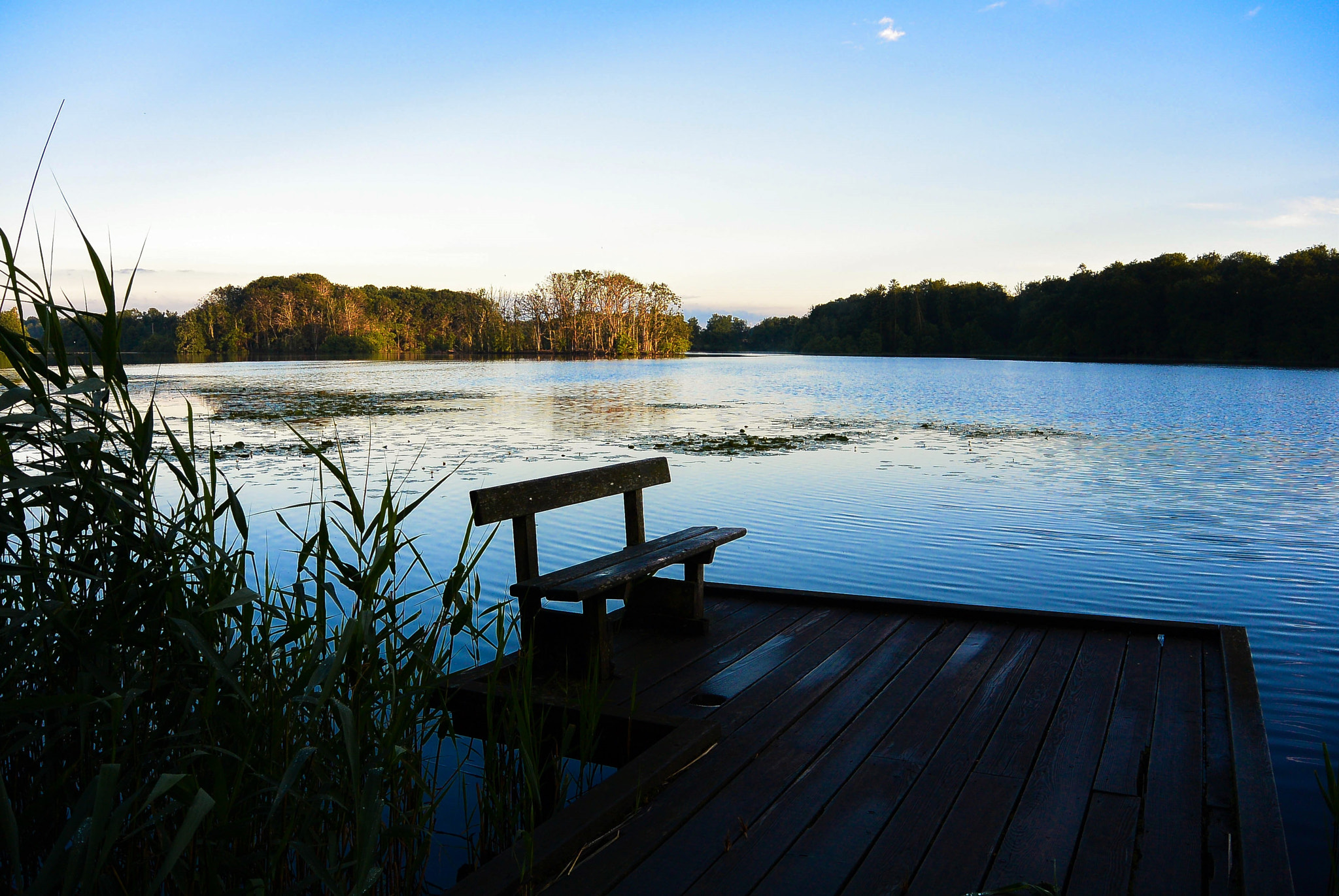 Nikon 1 Nikkor 11-27.5mm F3.5-5.6 sample photo. Surrounded by blue... photography