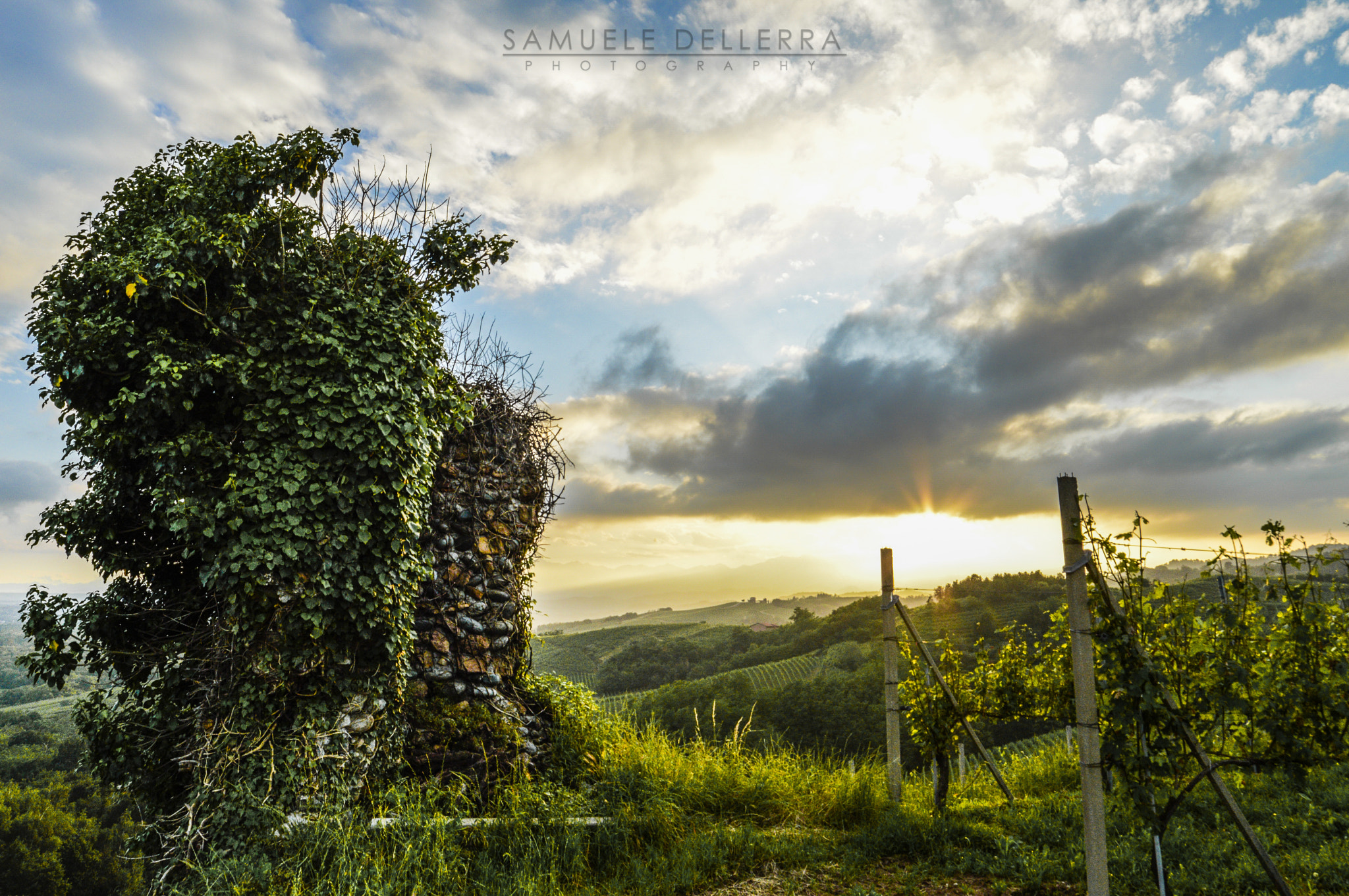Samyang 14mm F2.8 ED AS IF UMC sample photo. Tramonto sulle colline photography