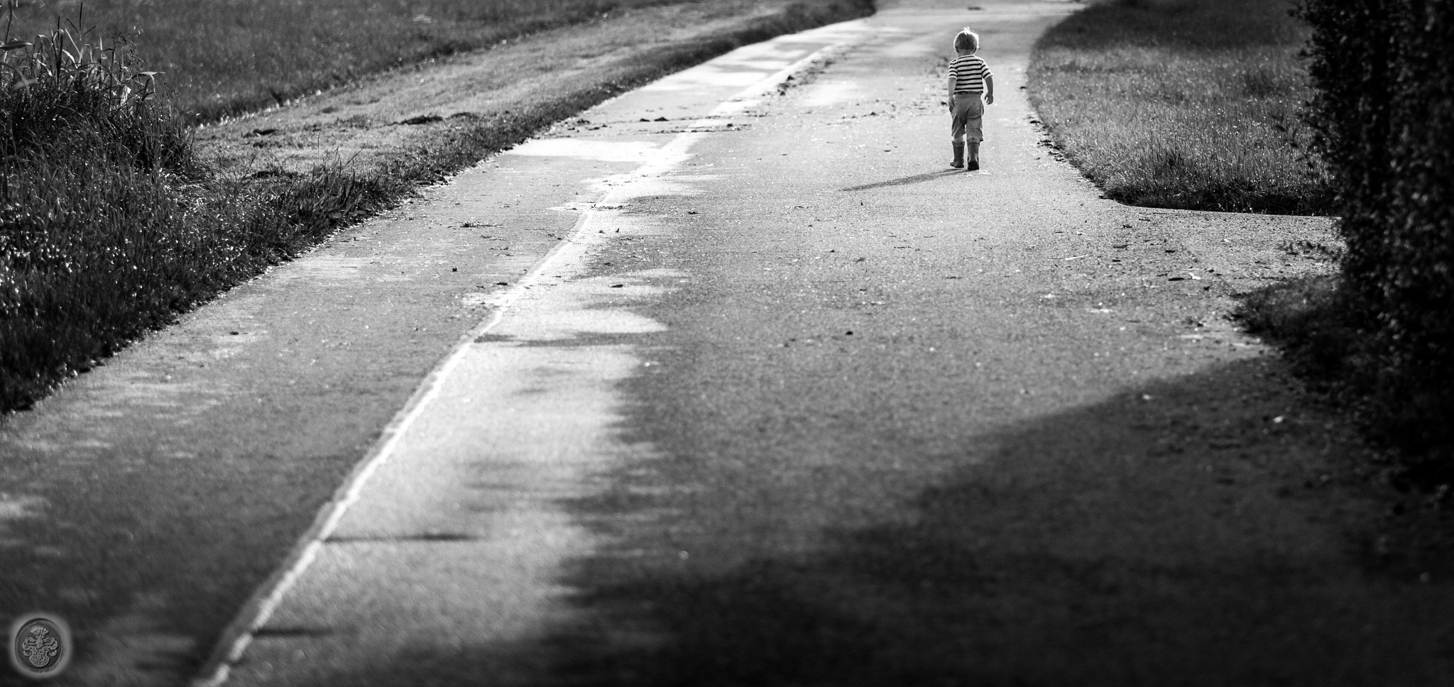 Canon EF 16-35mm F4L IS USM sample photo. ...the last of us... photography
