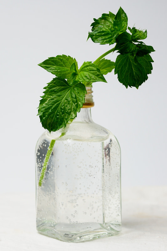AF Zoom-Nikkor 28-105mm f/3.5-4.5D IF sample photo. Agua con gas y menta photography