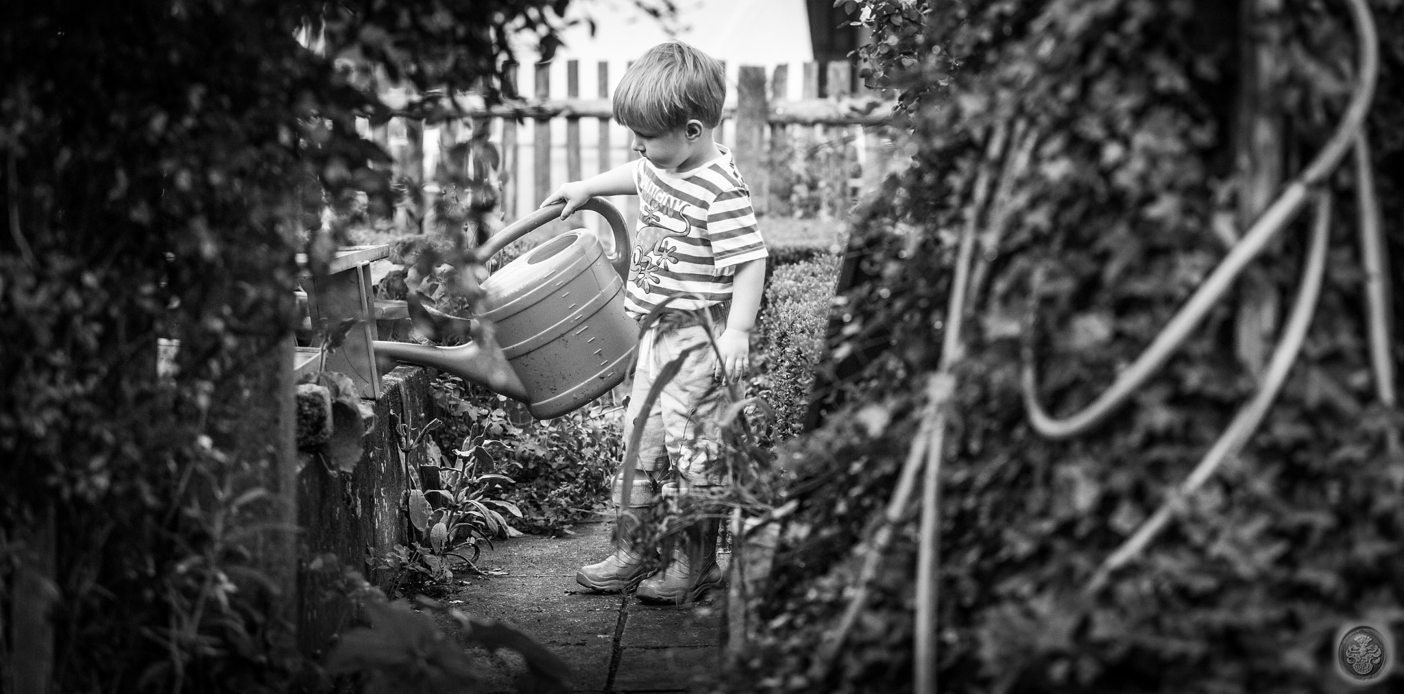 Canon EF 16-35mm F4L IS USM sample photo. ...the last of us...in the garden... photography