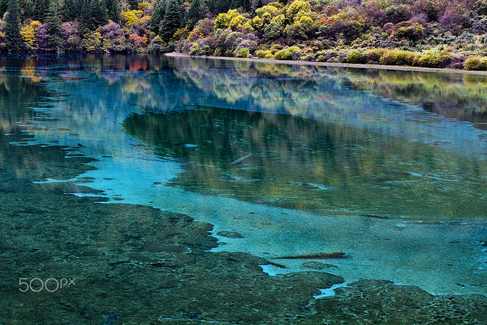 Canon EOS 60D + EF28-70mm f/2.8L USM sample photo. Shu zheng lakes photography
