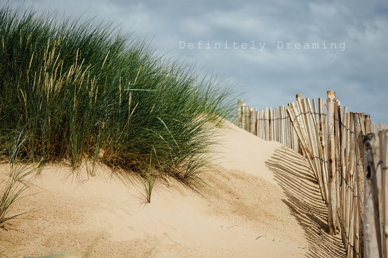 Sony a99 II + Sony 85mm F2.8 SAM sample photo. Sand dunes conservation photography