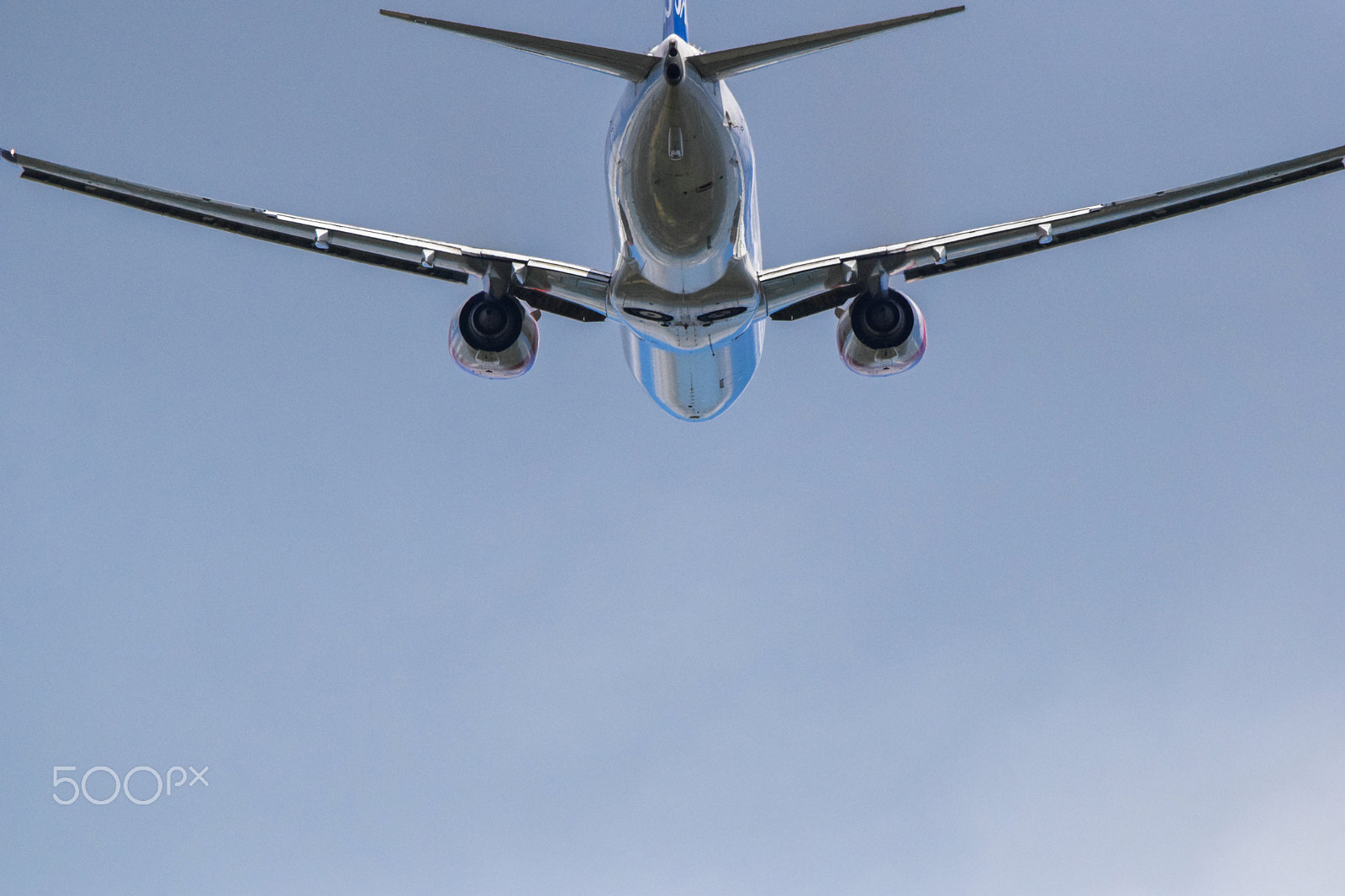 Tamron SP 150-600mm F5-6.3 Di VC USD sample photo. The art in flight photography
