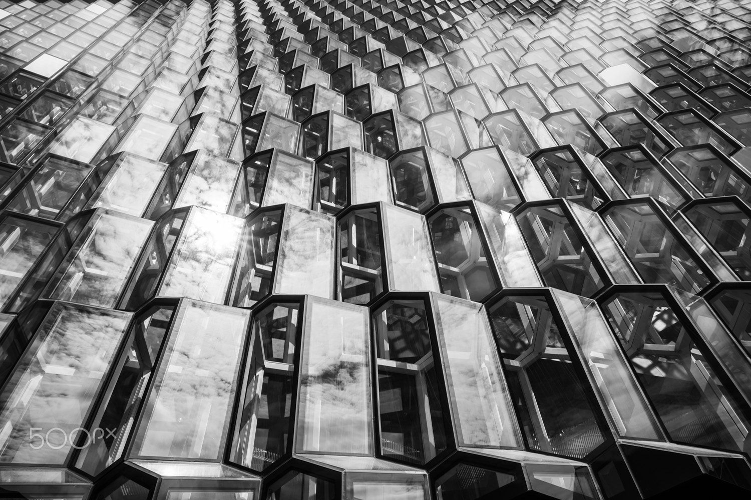 ZEISS Batis 25mm F2 sample photo. The hive photography