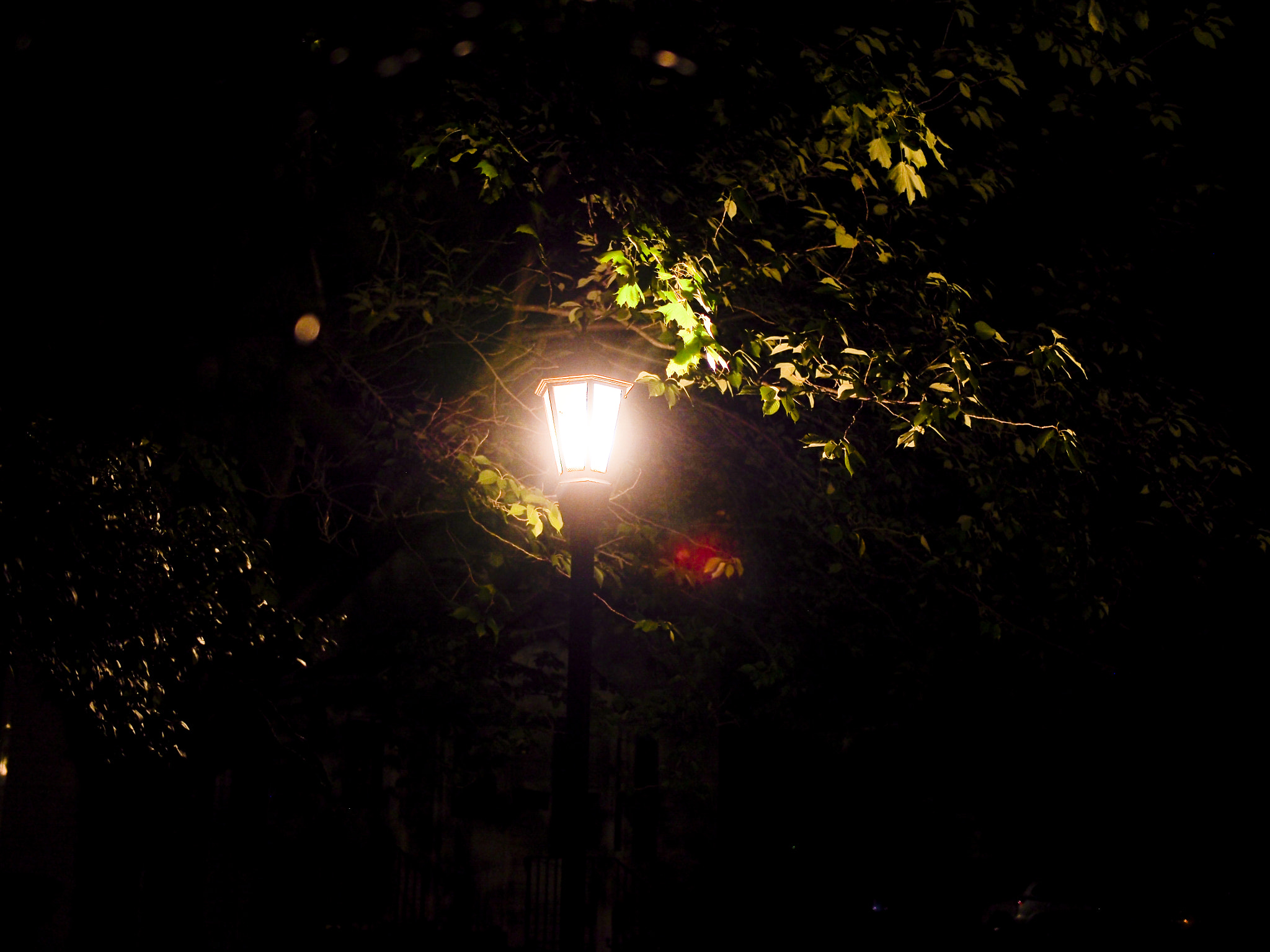 Olympus M.Zuiko Digital 25mm F1.8 sample photo. Solo lamp post photography
