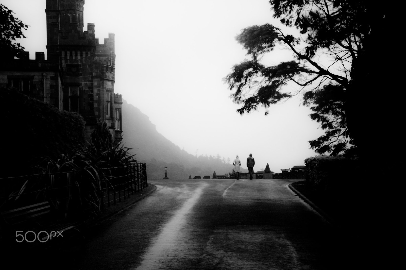 Nikon D50 sample photo. Two souls photography