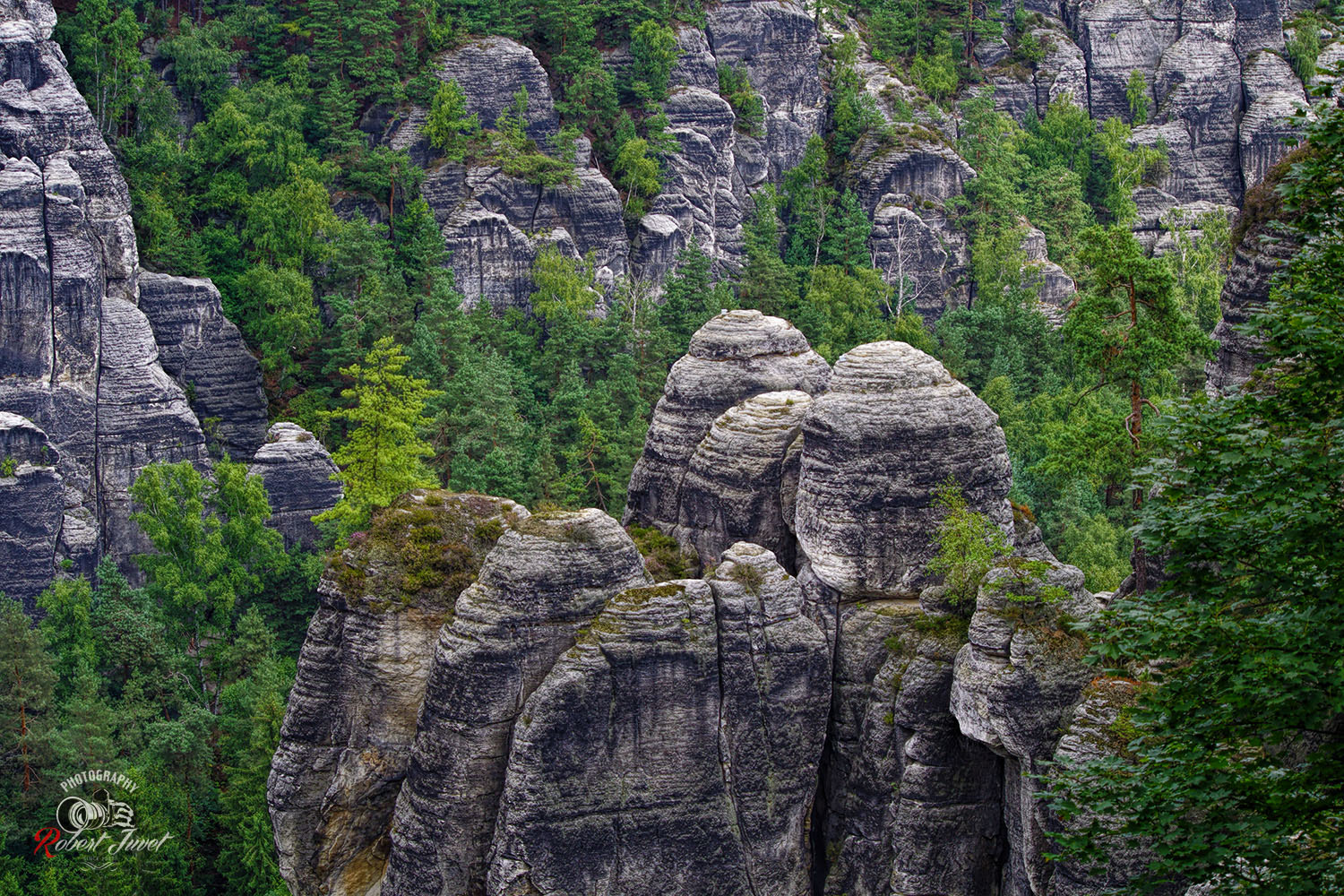 Pentax smc DA 55-300mm F4.0-5.8 ED sample photo. Im elbsandsteingebirge photography