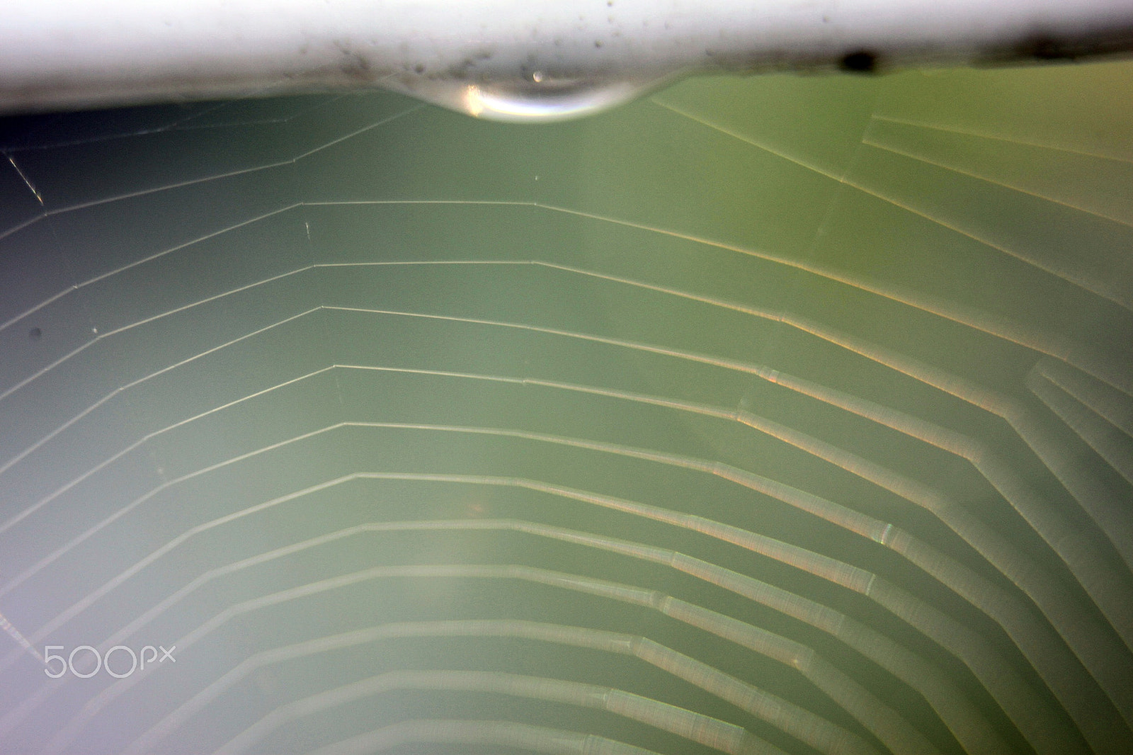 EF35-80mm f/4-5.6 sample photo. Spiders' web at dawn photography