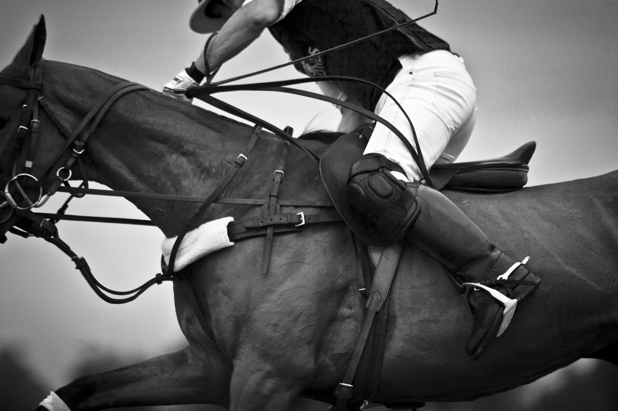 Canon EOS 5D + Canon EF 50mm f/1.8 sample photo. Polo photography
