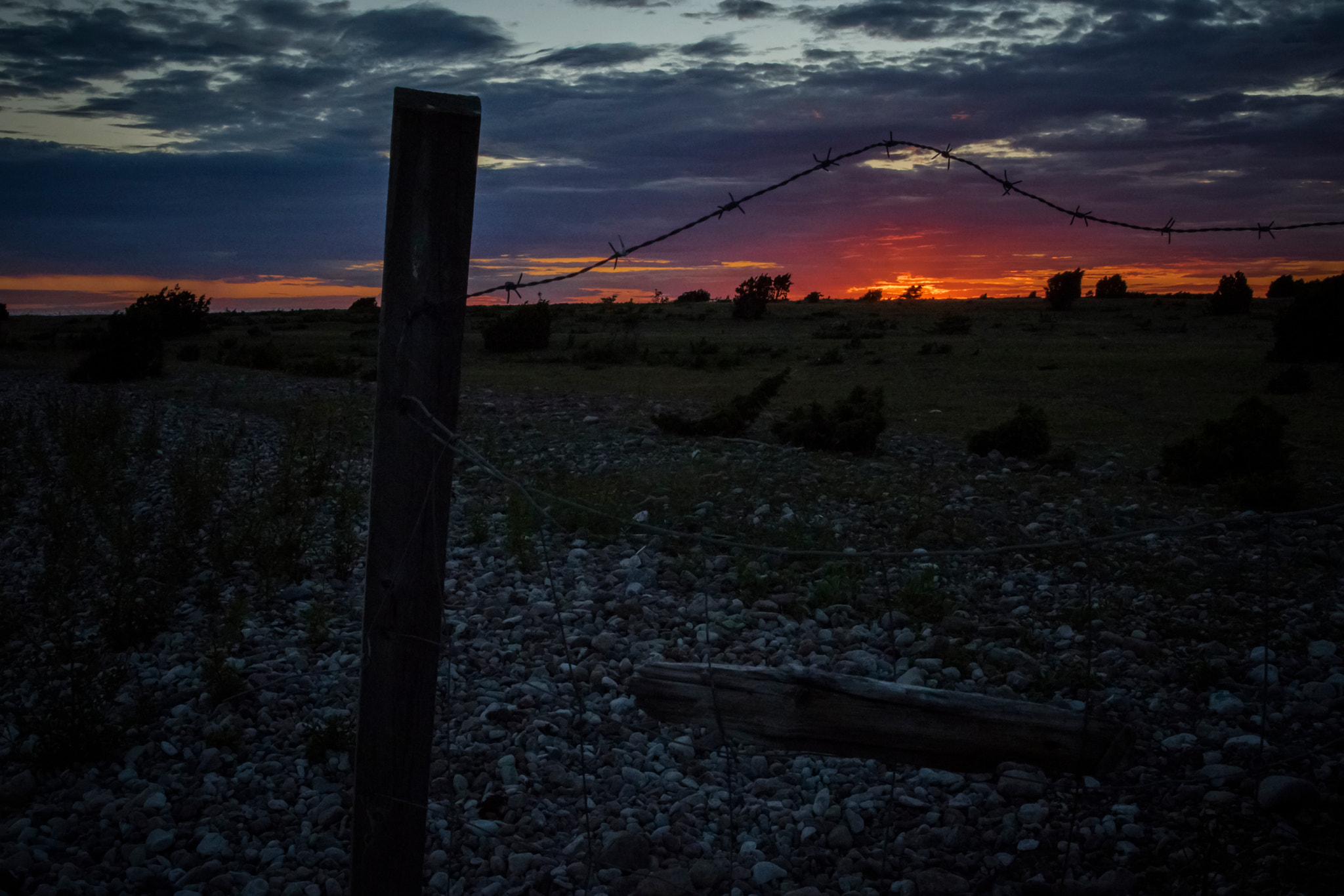 Canon EOS M3 sample photo. Gotland - klintehamn - sheep pasture photography