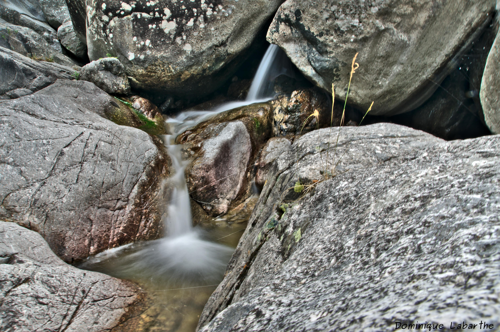 Pentax K-5 sample photo. _2018981.jpg photography