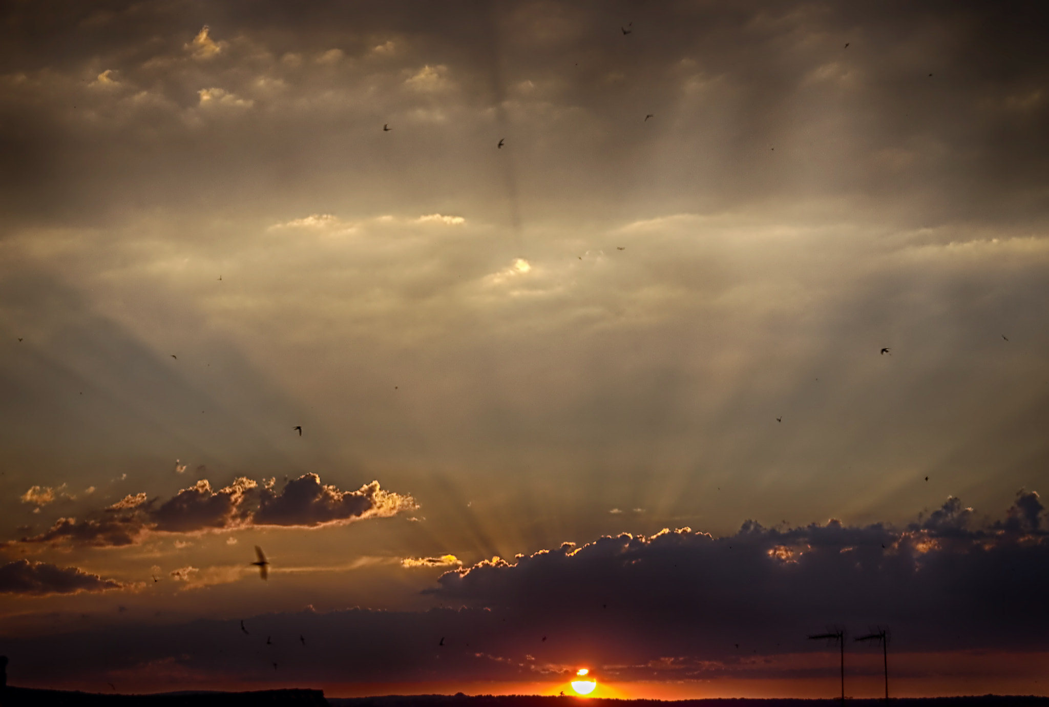 Olympus PEN E-PL1 sample photo. Atardecer en avila photography