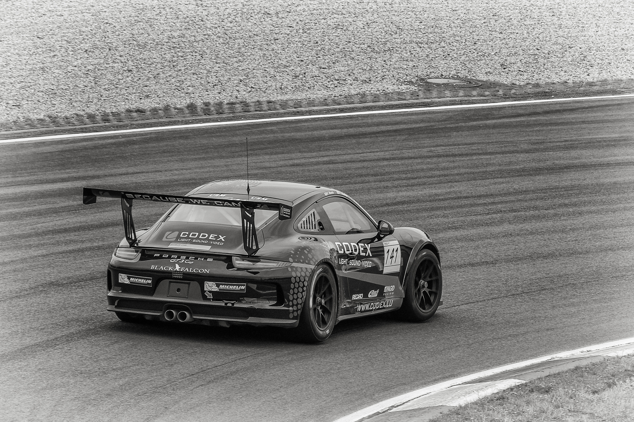 Fujifilm X-E1 + Fujifilm XC 50-230mm F4.5-6.7 OIS sample photo. Porsche gt3 cup photography
