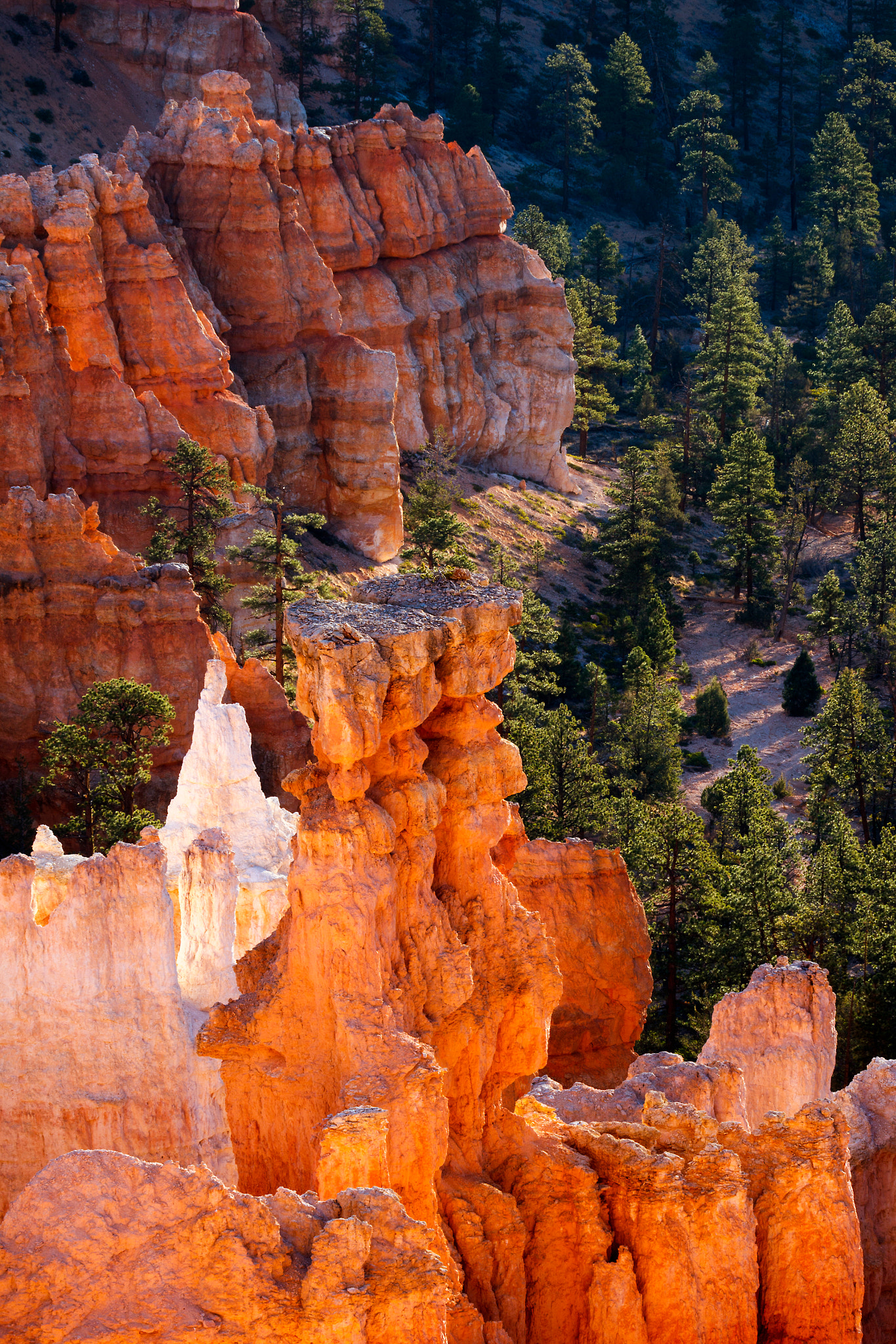 Canon EF 100-400mm F4.5-5.6L IS USM sample photo. Glowing hoodoos in bryce canyon photography