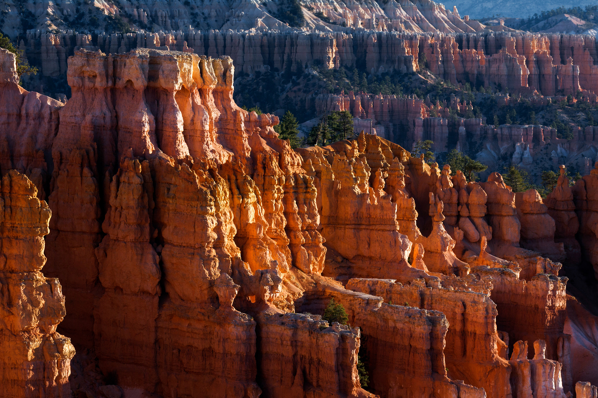 Canon EF 100-400mm F4.5-5.6L IS USM sample photo. Sun kissed hoodoos and pine trees in bryce canyon photography