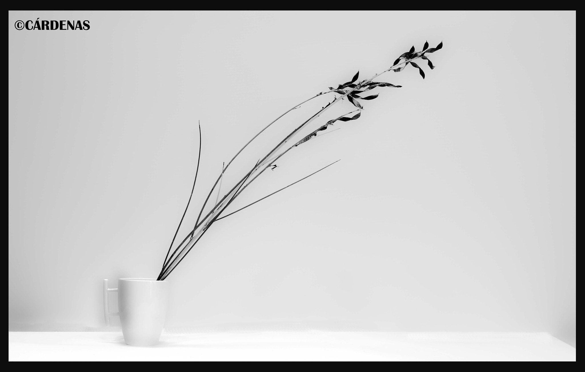 Nikon D300S + Sigma 30mm F1.4 EX DC HSM sample photo. () photography