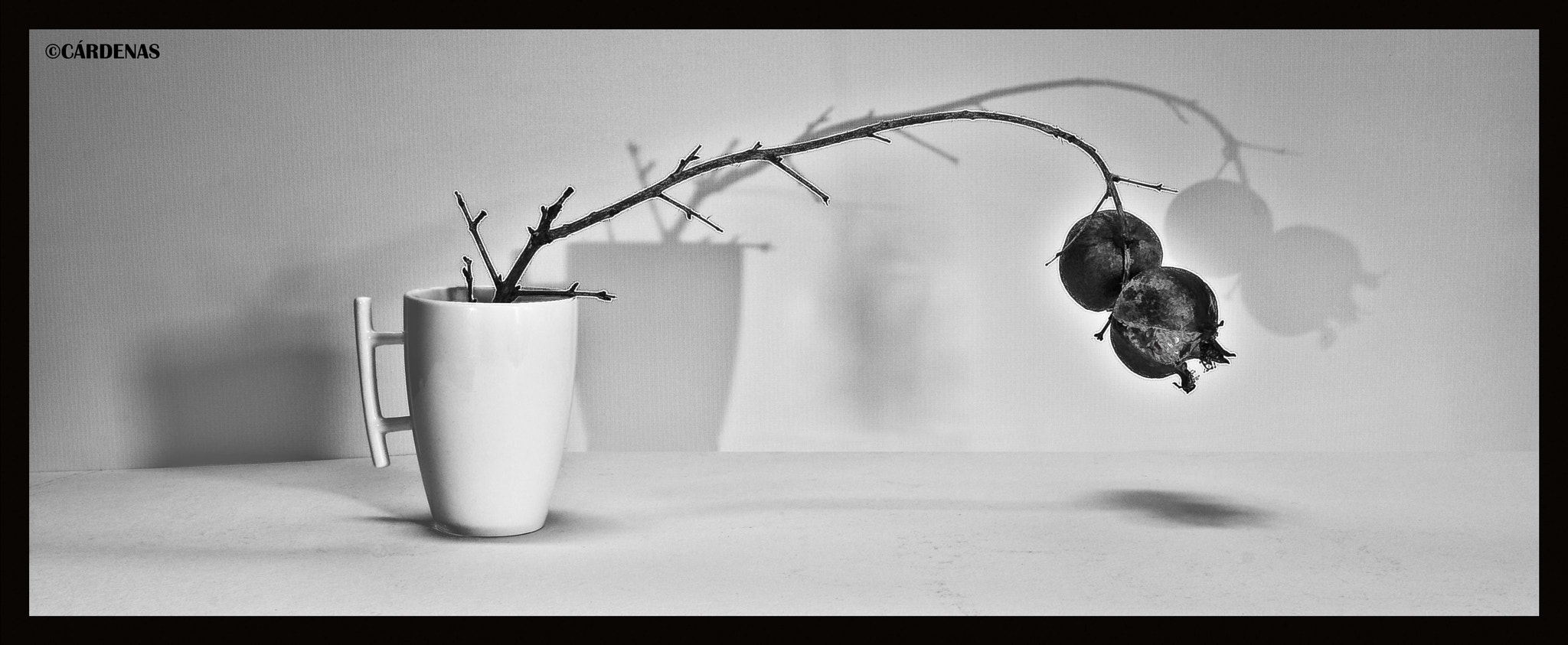 Nikon D300S + Sigma 30mm F1.4 EX DC HSM sample photo. Dra_62372.jpg photography