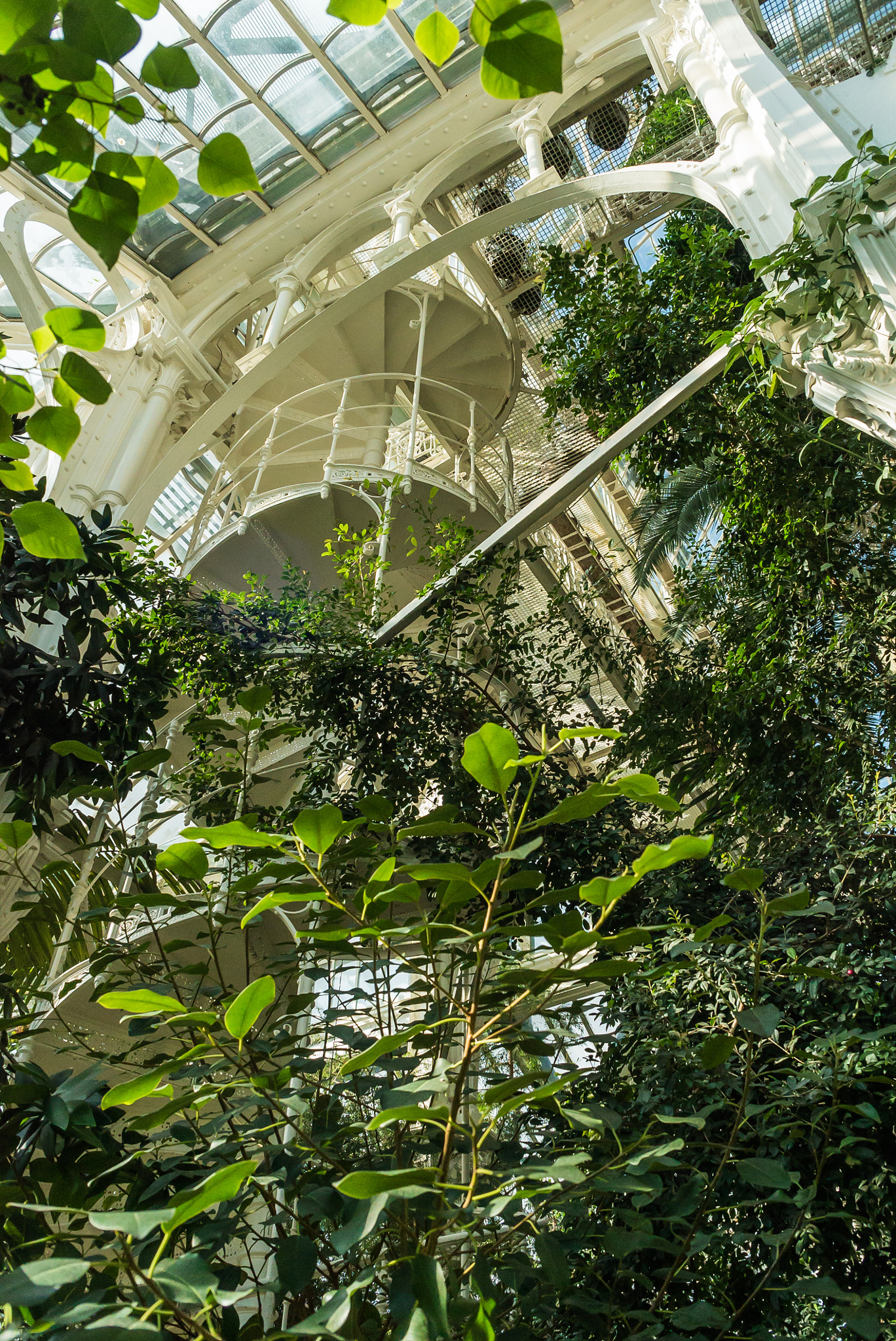 Sony a7S sample photo. Greenhouse in vienna photography
