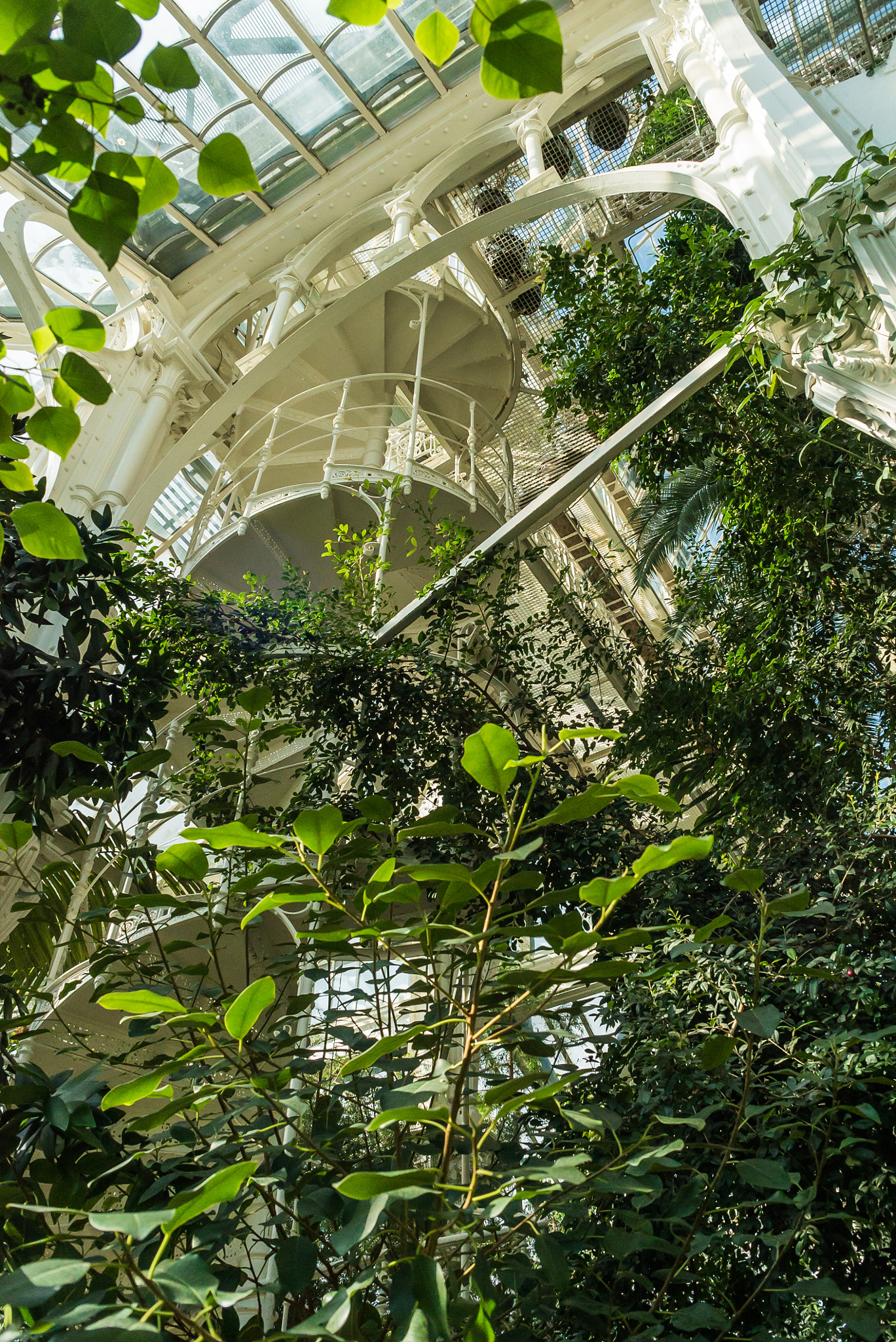 Sony a7S + Minolta AF 28-85mm F3.5-4.5 sample photo. Greenhouse in vienna photography