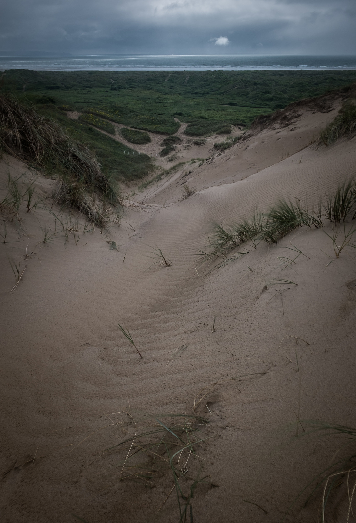 Fujifilm X-M1 + Fujifilm XF 14mm F2.8 R sample photo. A dune with a view photography