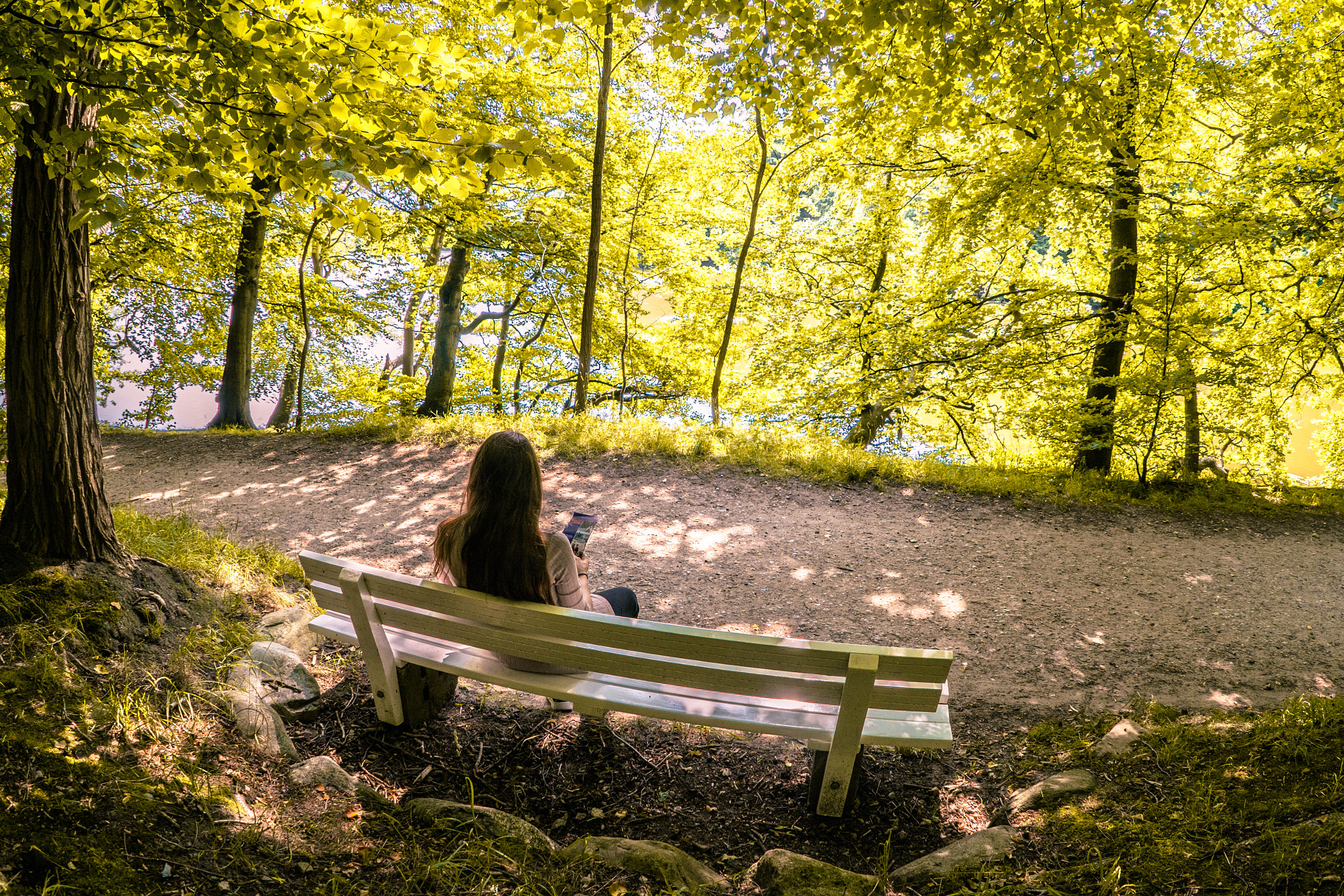 Sony a7 II + FE 16mm F3.5 Fisheye sample photo. Beauty of july photography