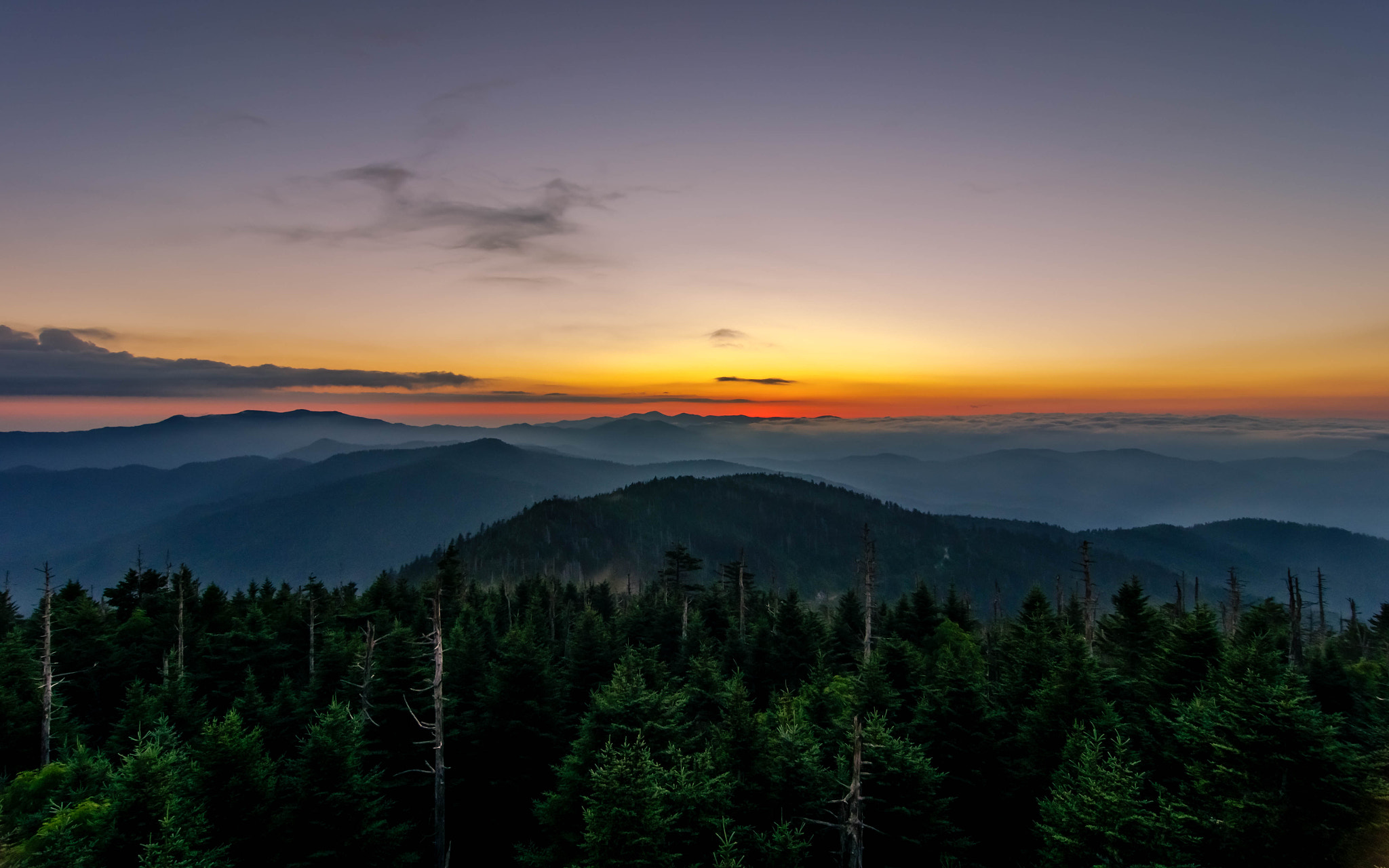 Pentax K-5 IIs sample photo. Forest waiting for the sunrise photography