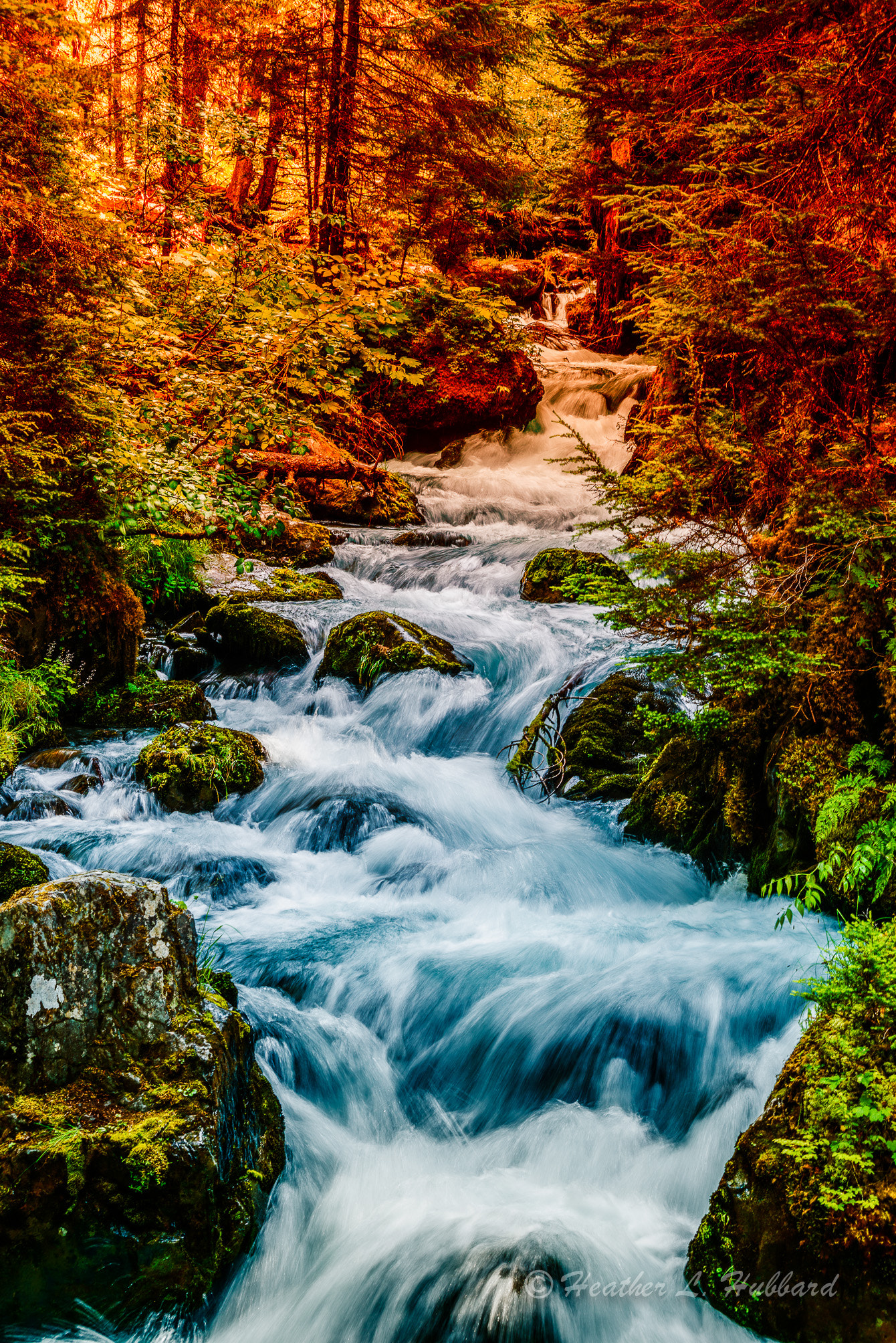 Sigma 70-300mm F4-5.6 APO DG Macro sample photo. Fall at virgin creek photography