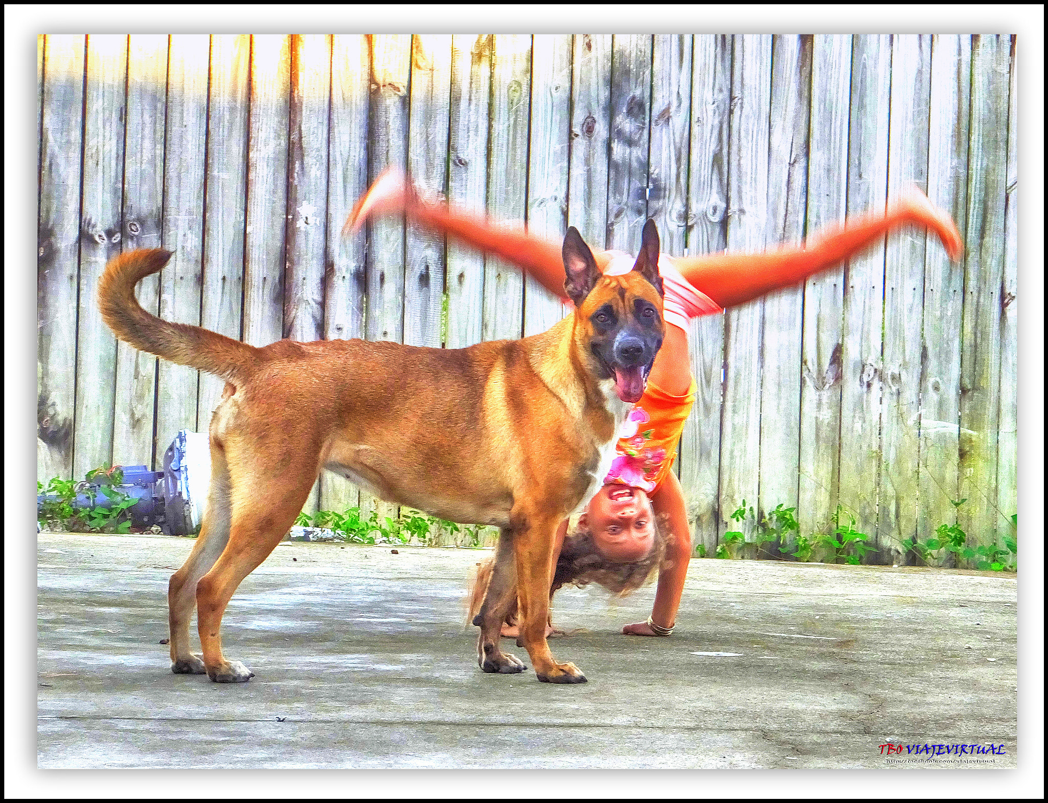 Fujifilm FinePix F850EXR sample photo. My dog laika and me. photography