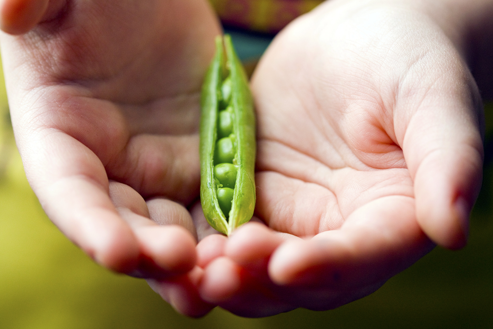 Canon EF 100mm F2.8 Macro USM sample photo. A child's hands photography