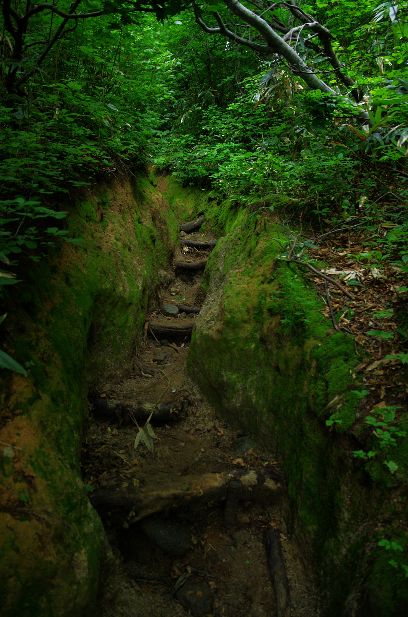 Pentax K-5 sample photo. Imgq9389.jpg photography
