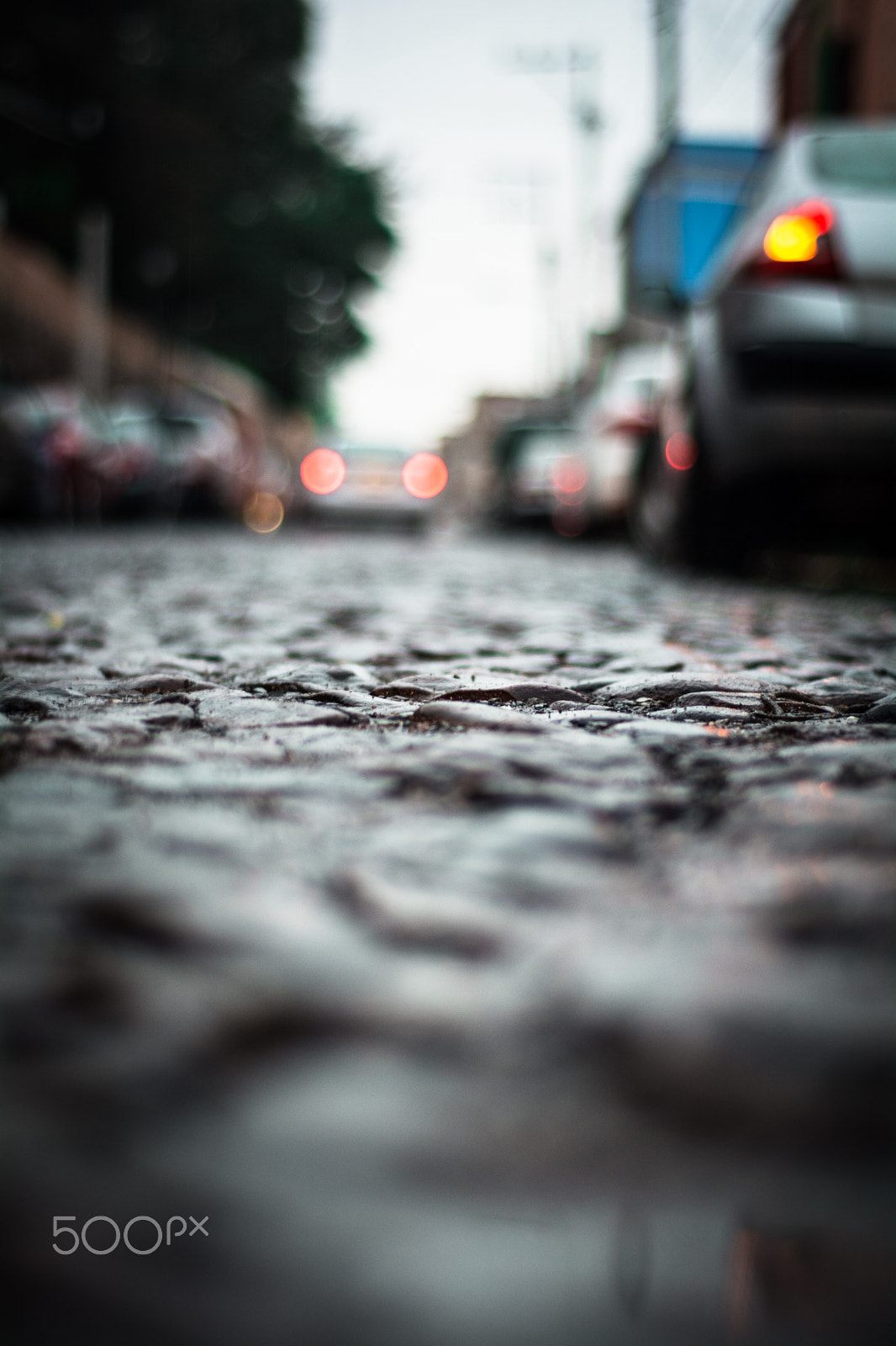 Nikon D7100 + AF Nikkor 50mm f/1.8 sample photo. On the ground photography