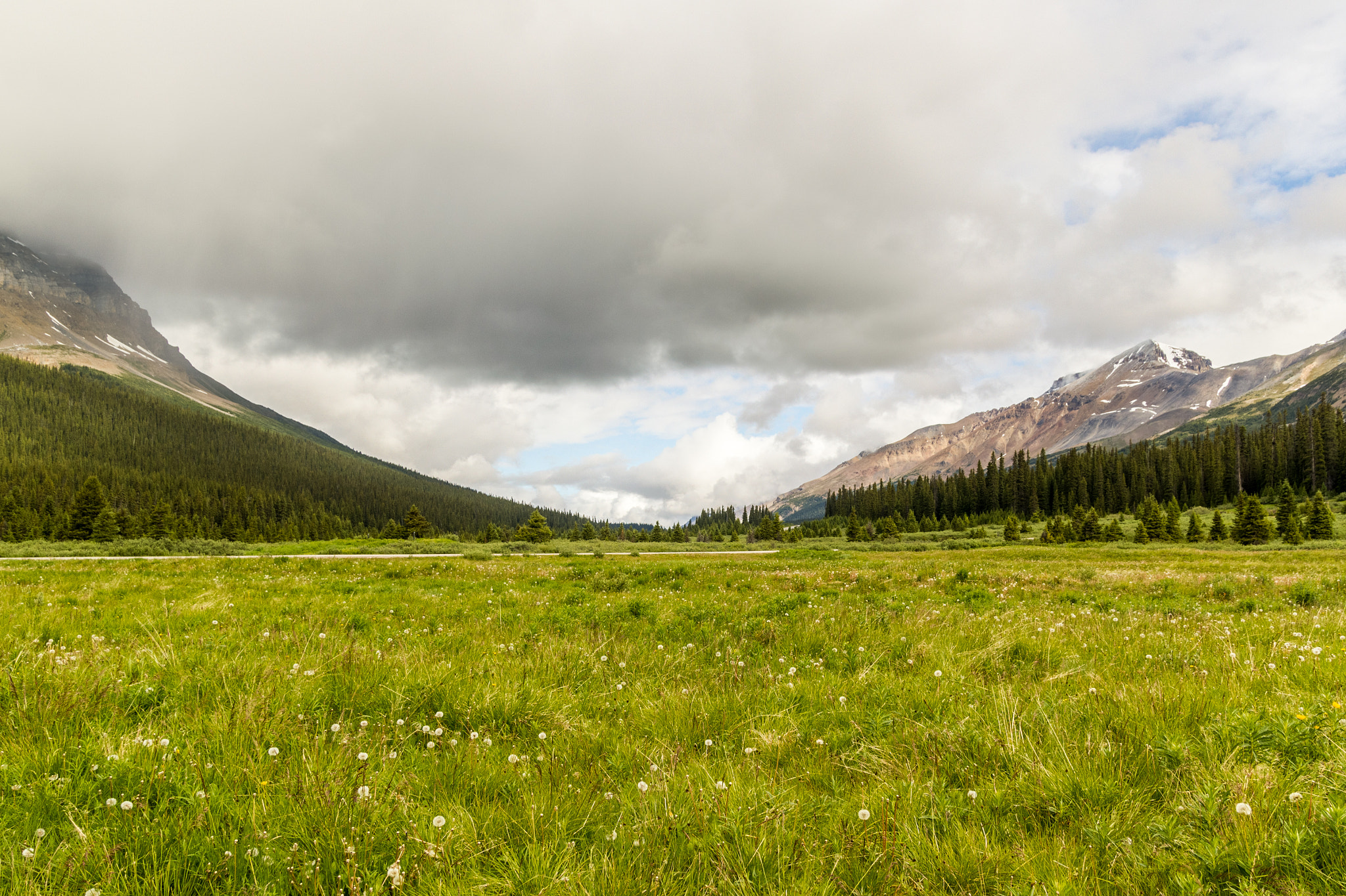 Sigma 18-50mm f/2.8 Macro sample photo. Valley near bow lake photography