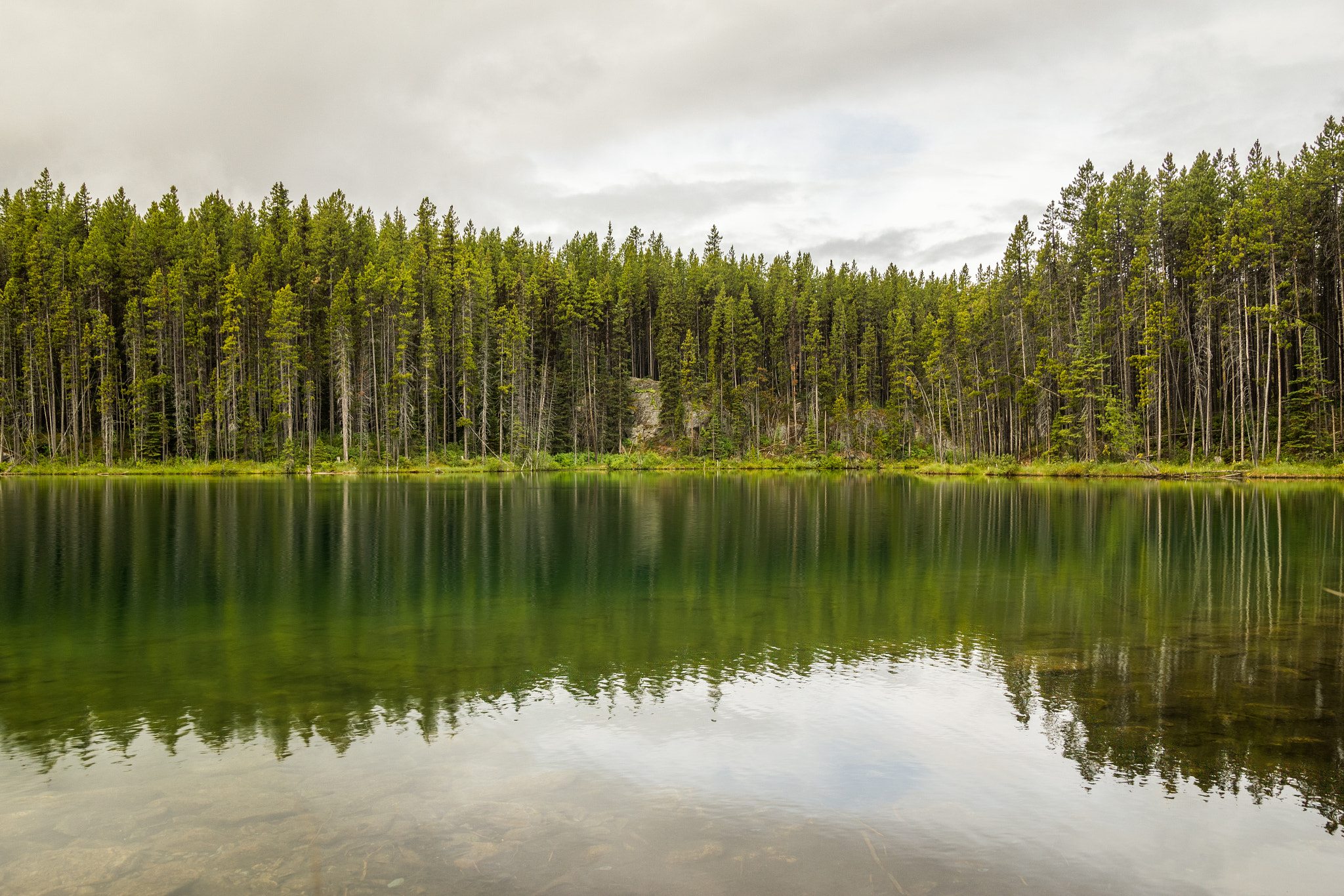 Sigma 18-50mm f/2.8 Macro sample photo. Herbert lake photography