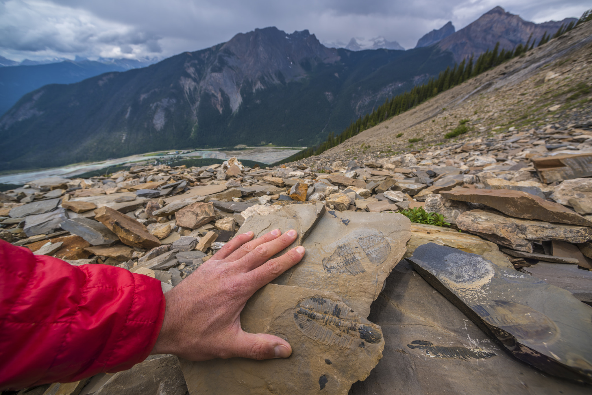 Nikon D810 + Nikon AF Nikkor 14mm F2.8D ED sample photo. Mountain secrets photography