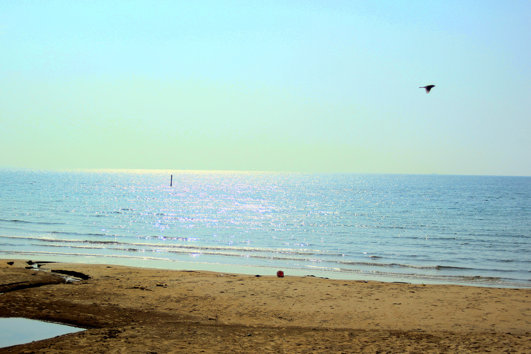 Canon EOS 550D (EOS Rebel T2i / EOS Kiss X4) sample photo. Beach(海岸) photography